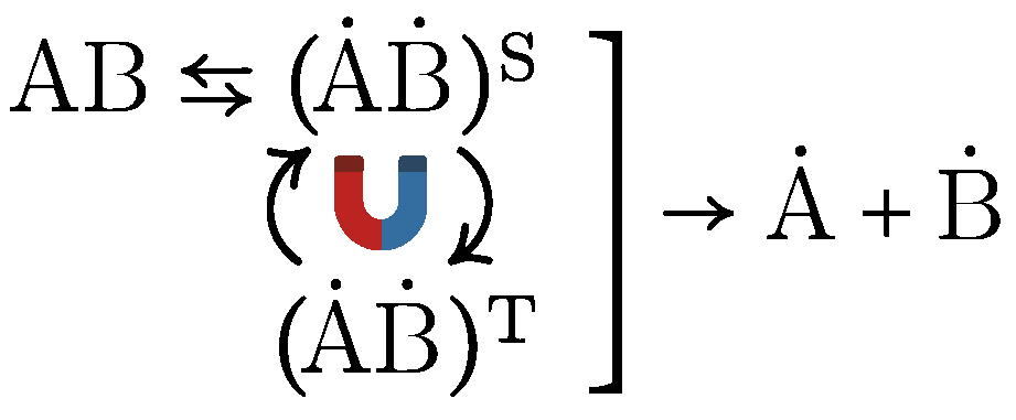 Life 15 01766 g006 Life 15 01766 g006