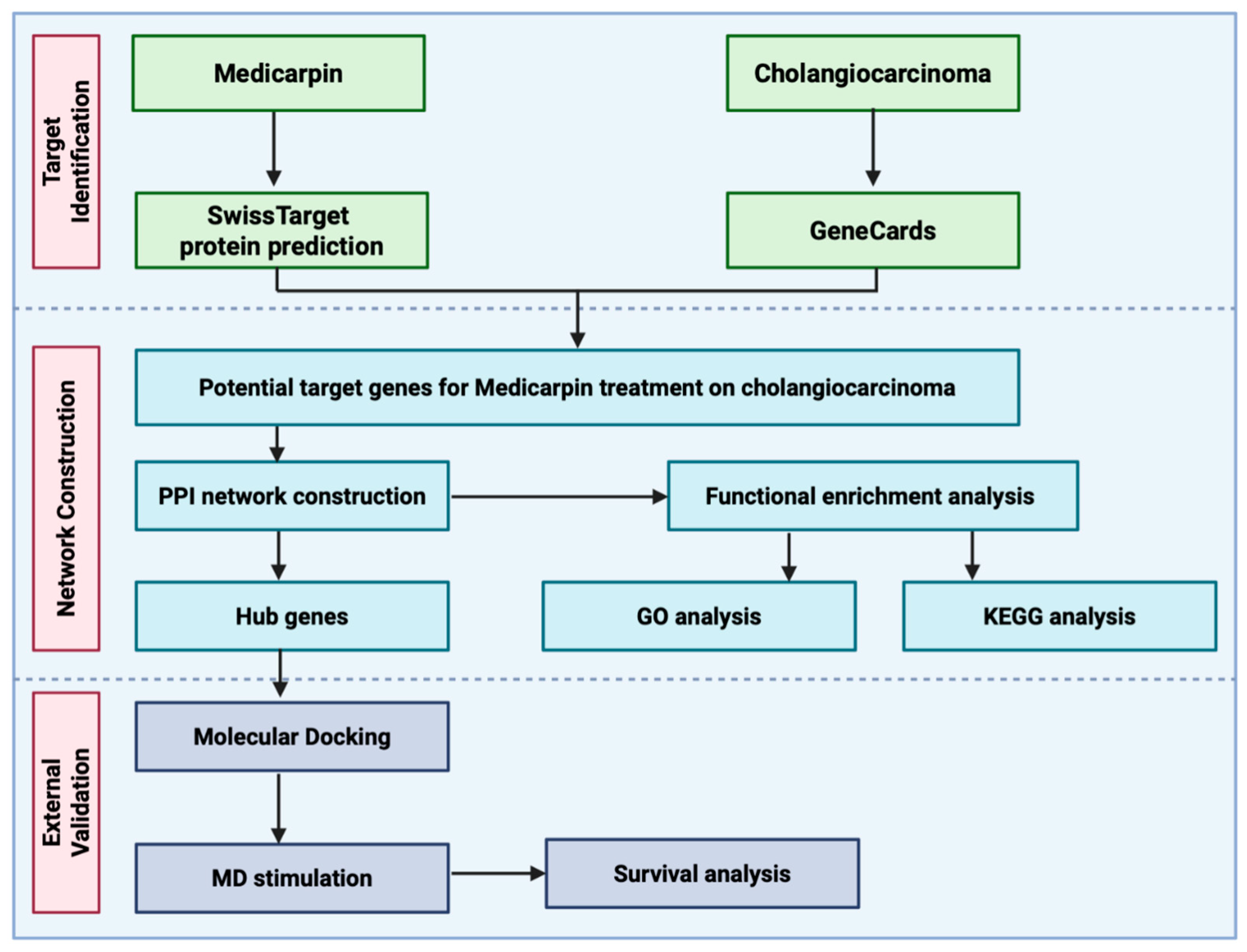 Life 15 01828 g001 Life 15 01828 g001