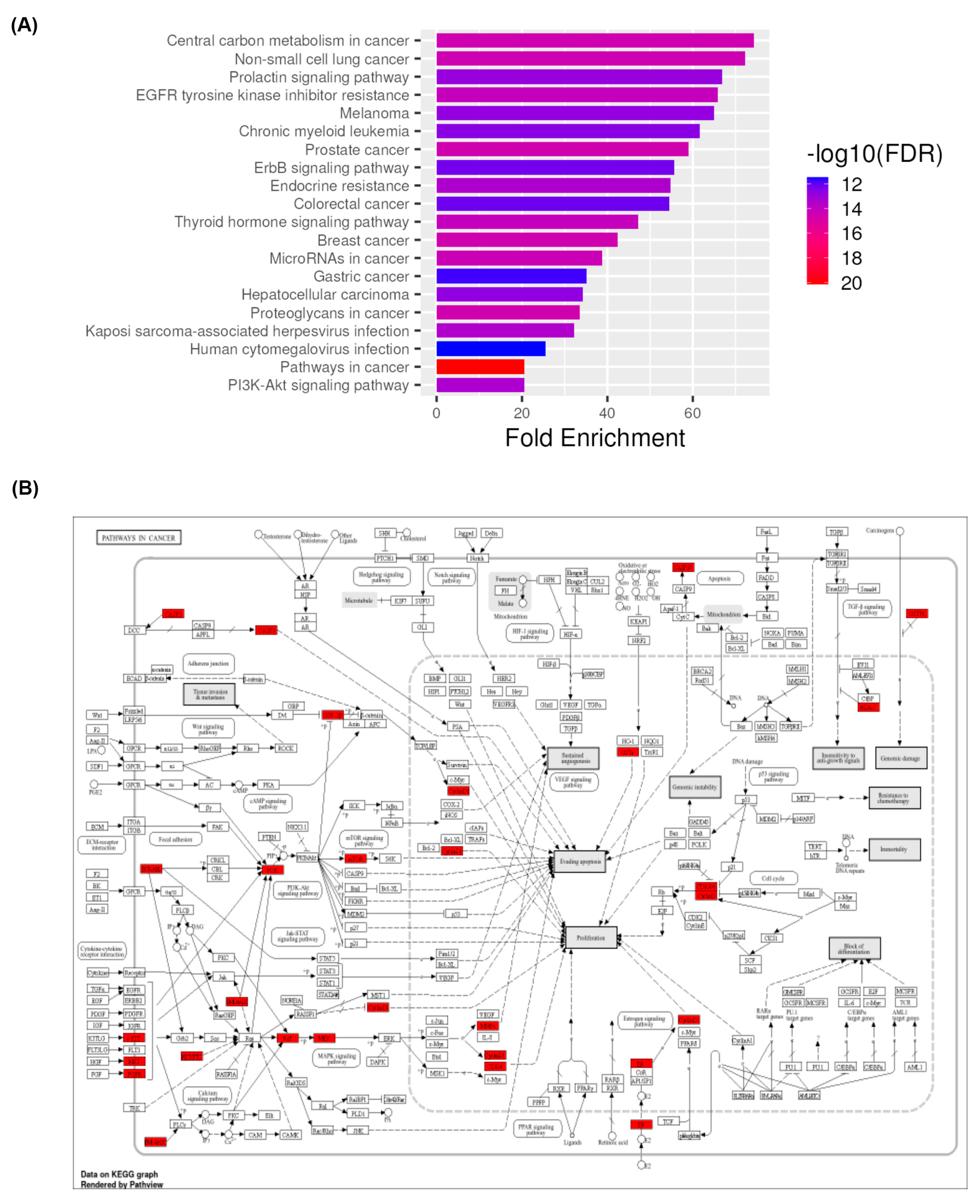 Life 15 01828 g004 Life 15 01828 g004