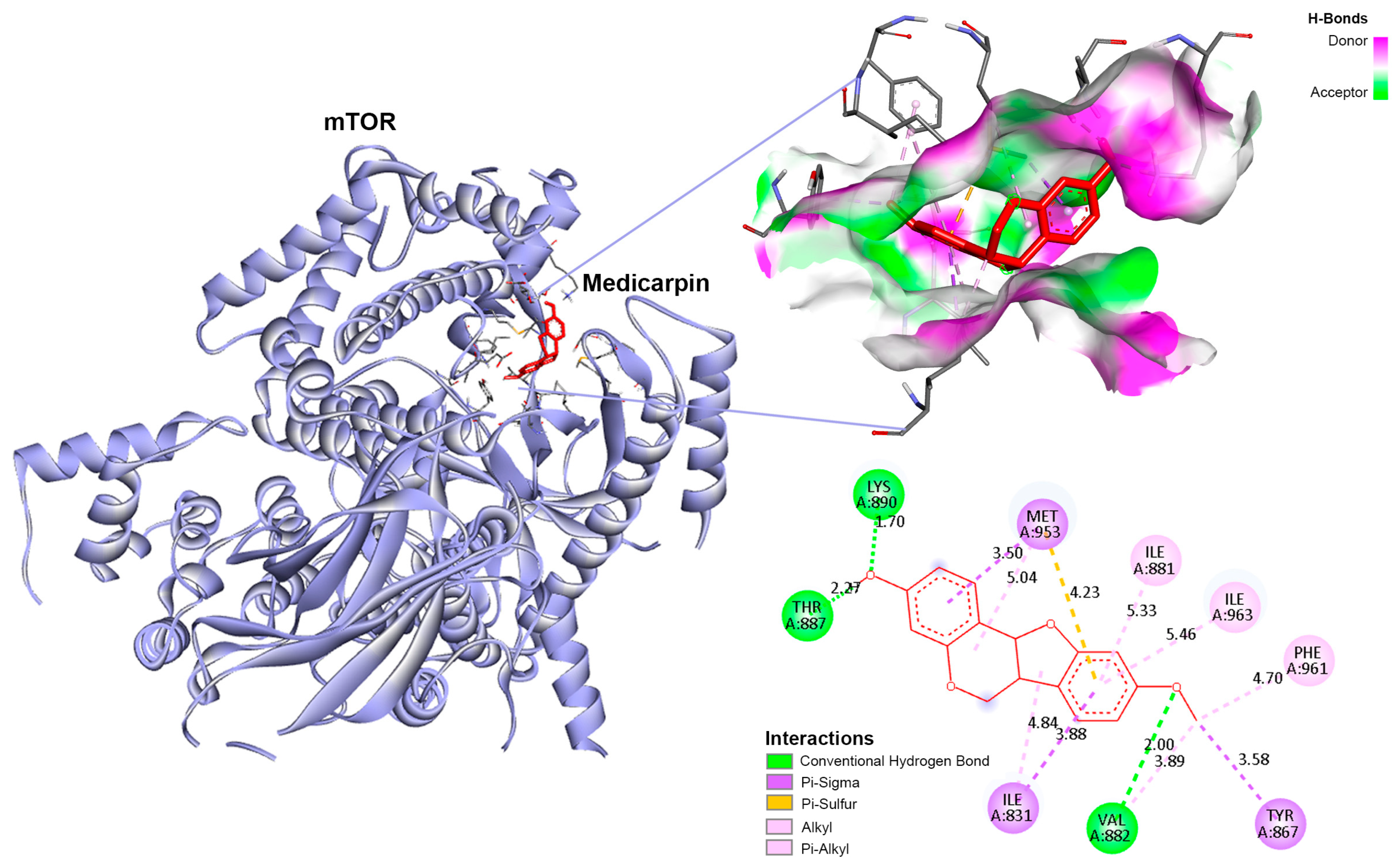 Life 15 01828 g005 Life 15 01828 g005