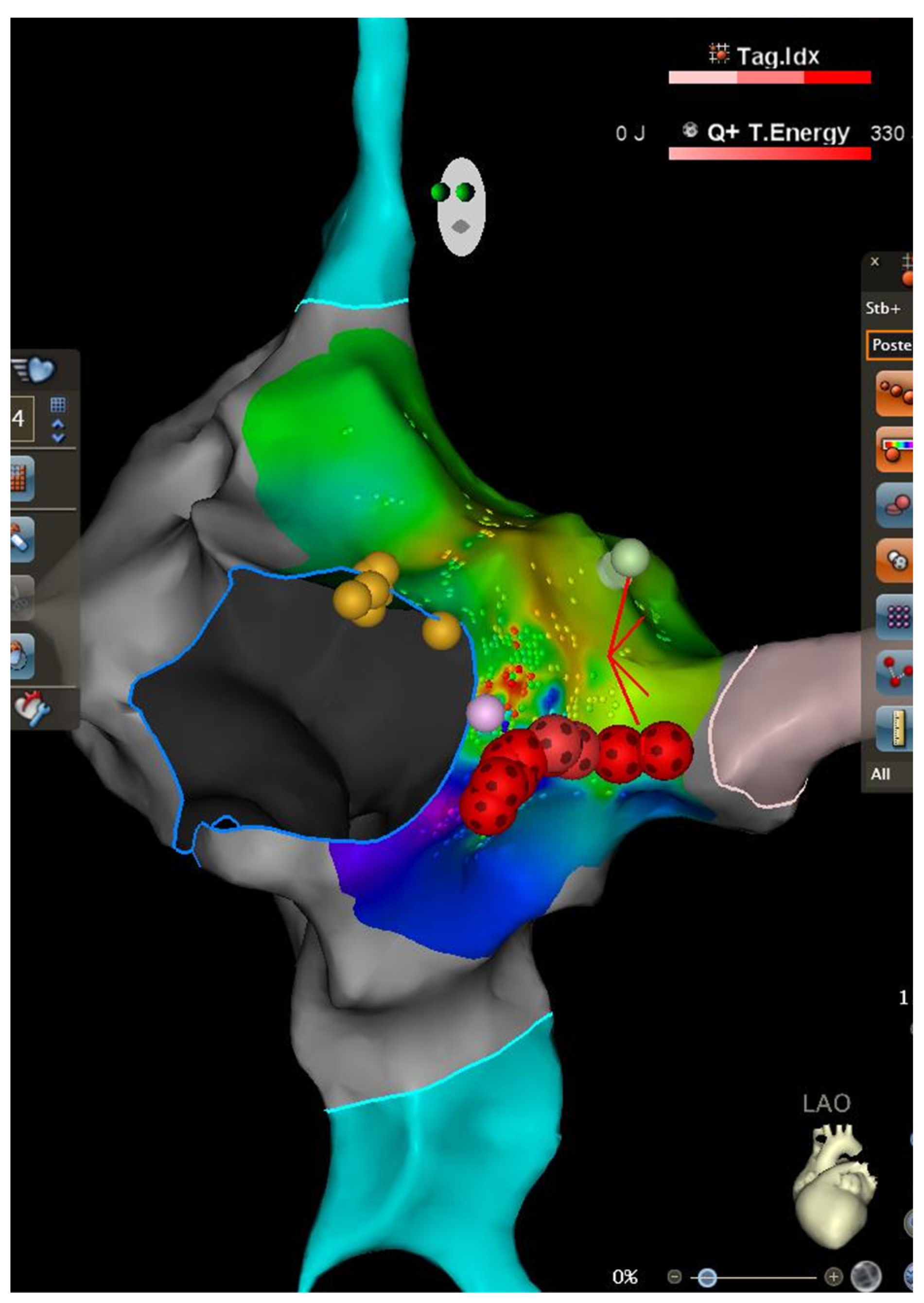 Life 15 01834 g002 Life 15 01834 g002