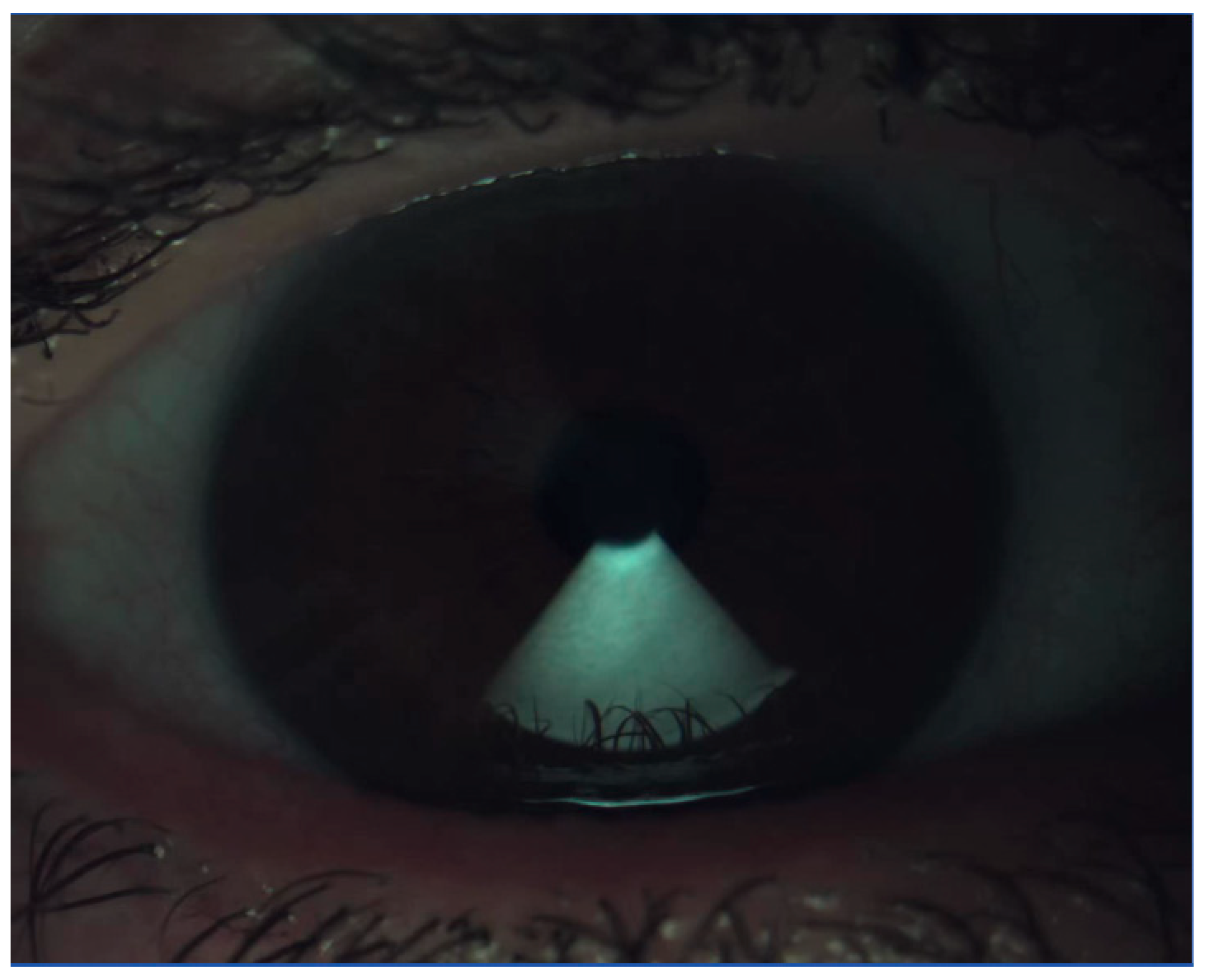 Life 15 01837 g003 Life 15 01837 g003