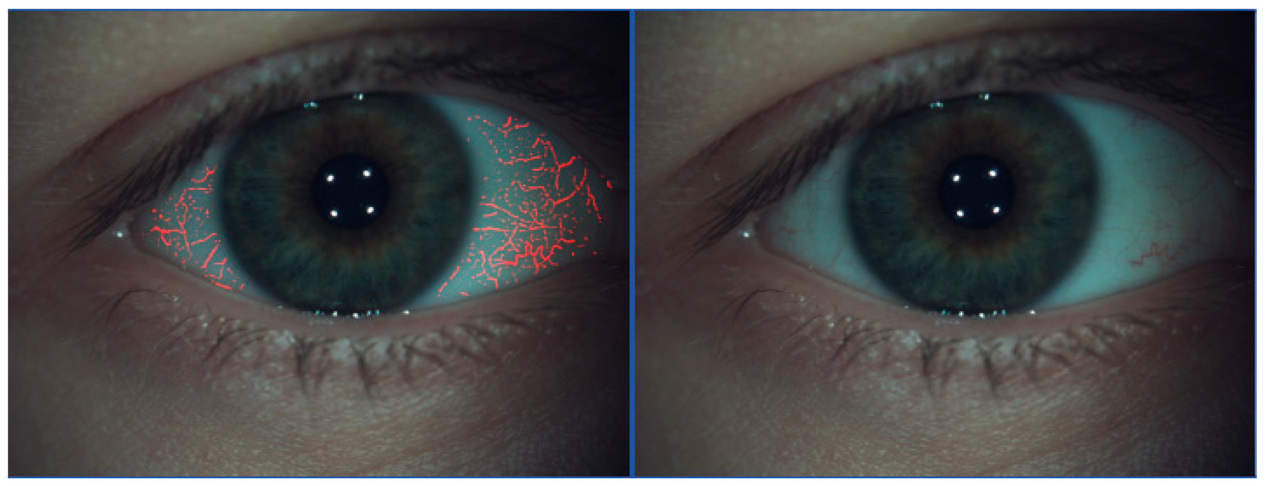 Life 15 01837 g004 Life 15 01837 g004