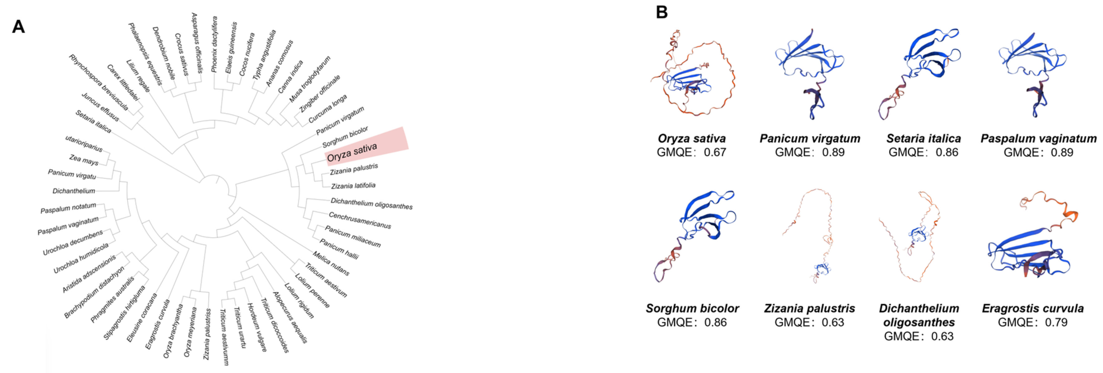 Life 15 01852 g001 Life 15 01852 g001