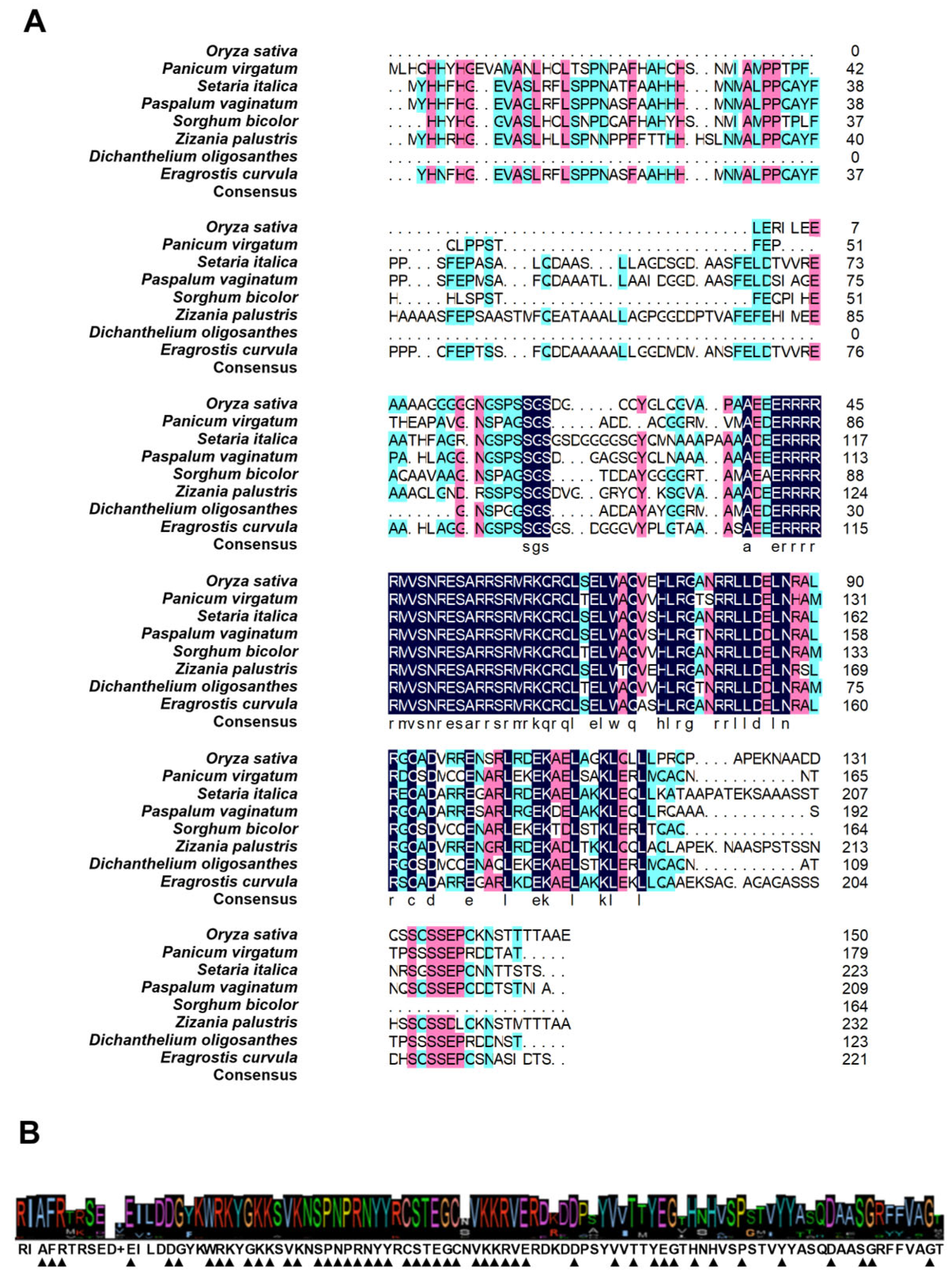 Life 15 01852 g002 Life 15 01852 g002
