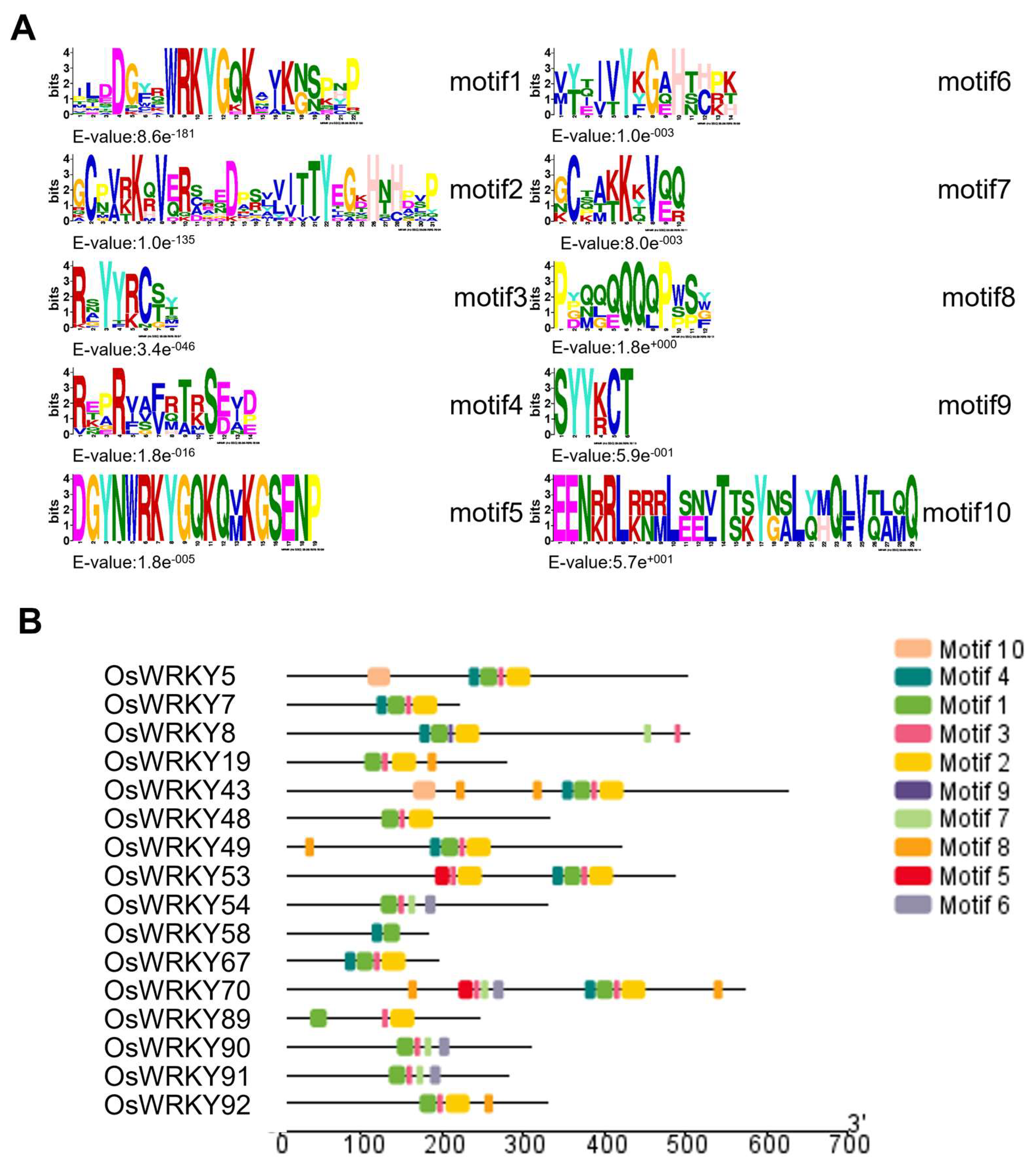 Life 15 01852 g004 Life 15 01852 g004