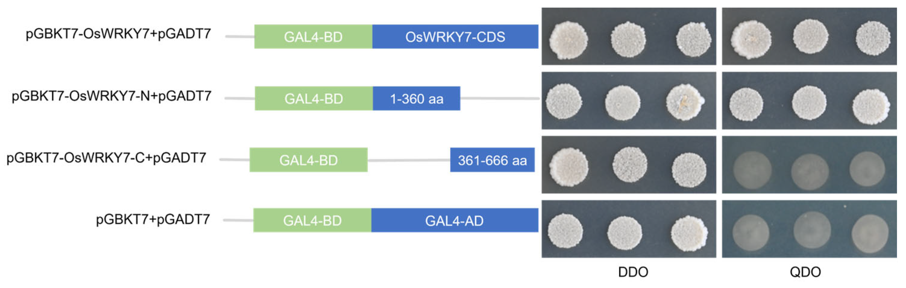 Life 15 01852 g005 Life 15 01852 g005