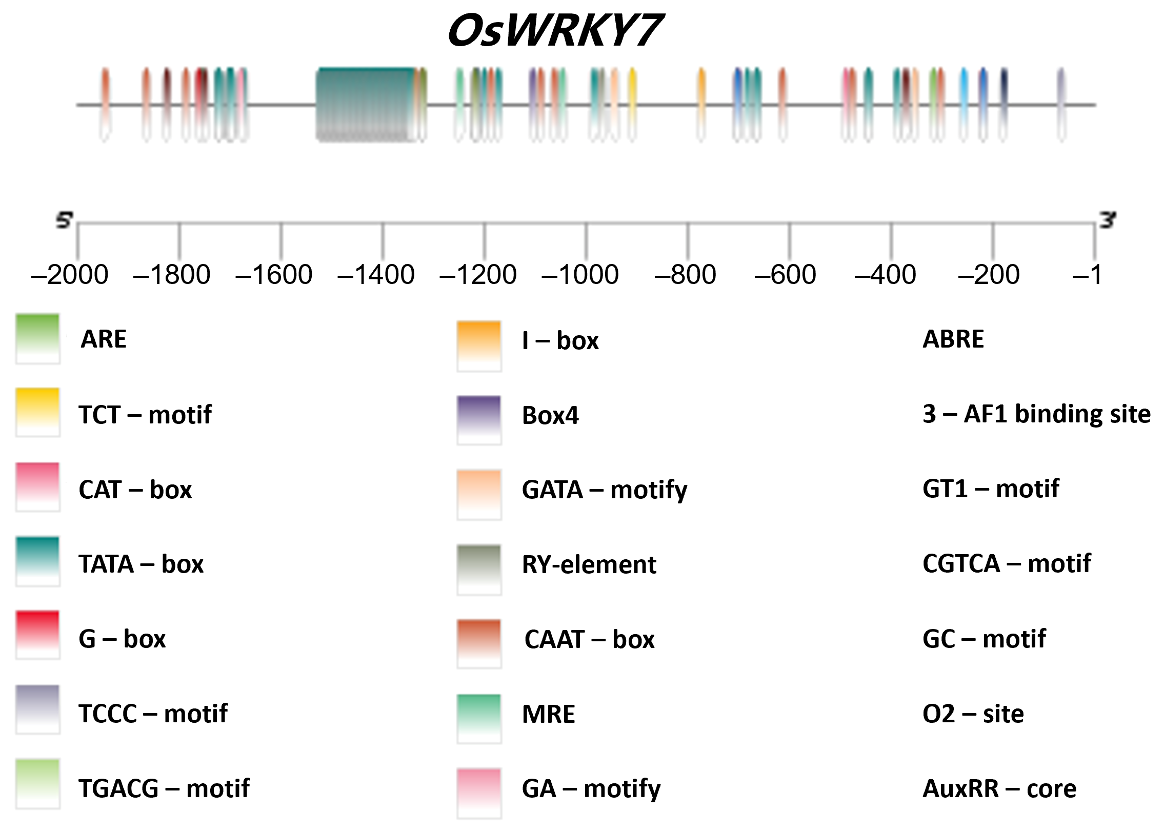 Life 15 01852 g006 Life 15 01852 g006