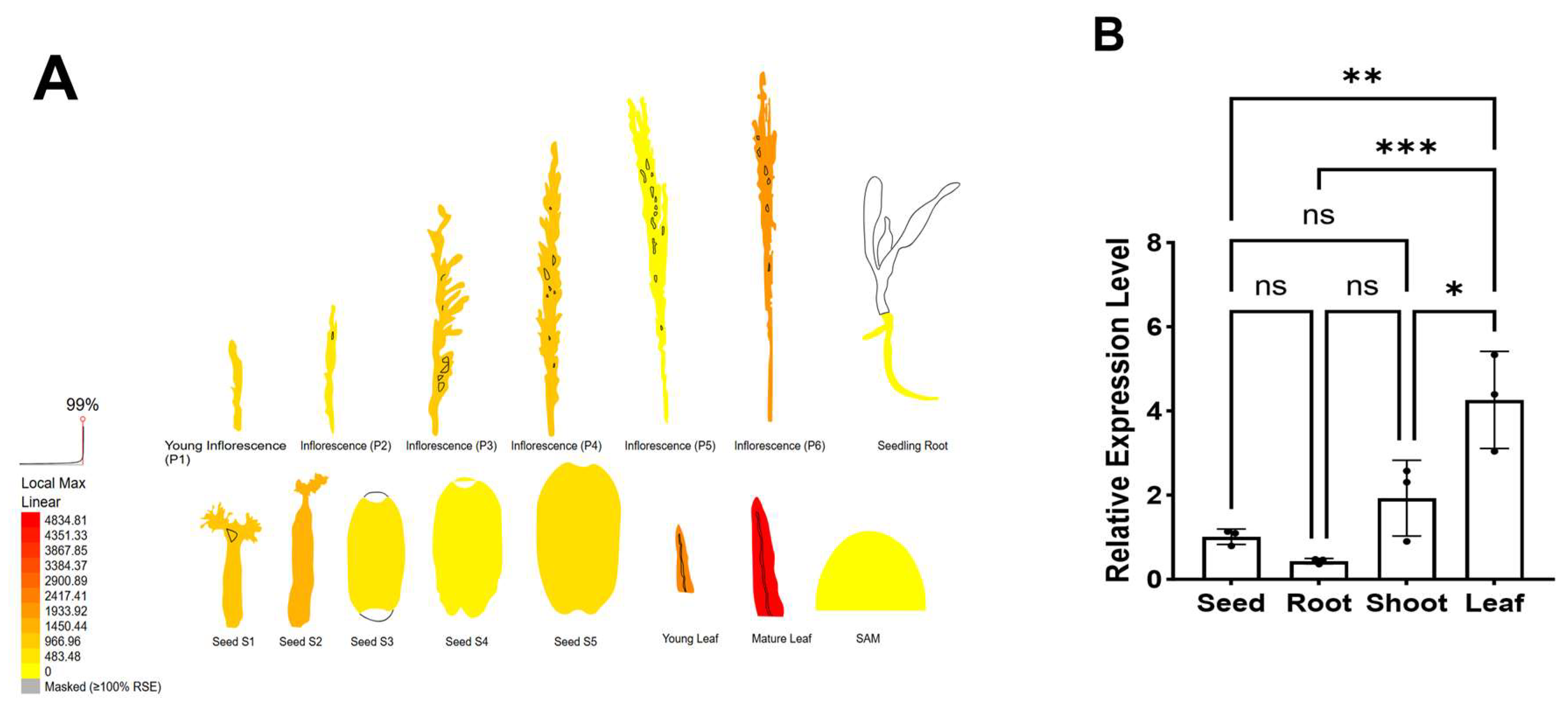 Life 15 01852 g007 Life 15 01852 g007
