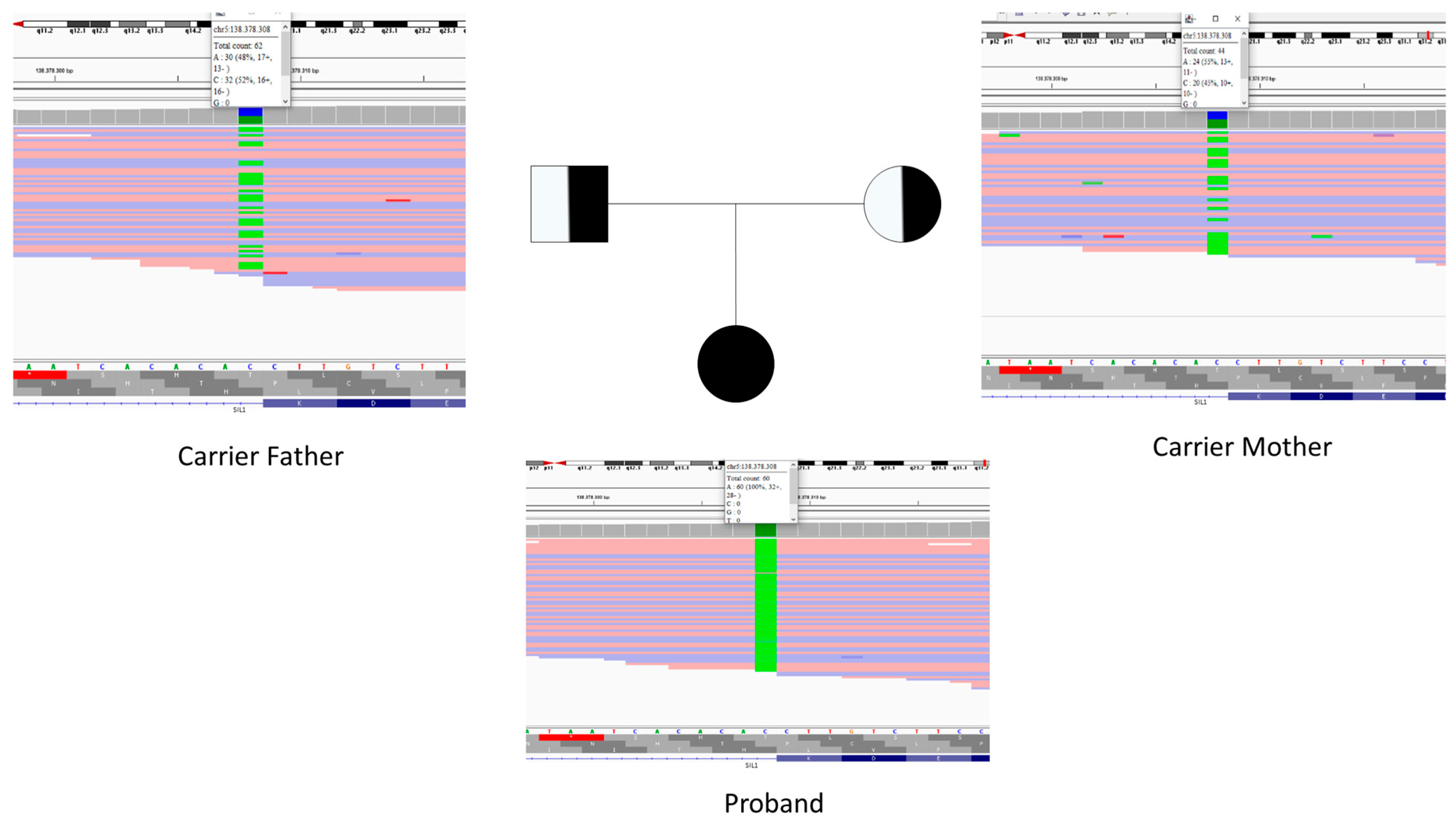 Life 15 01855 g001 Life 15 01855 g001