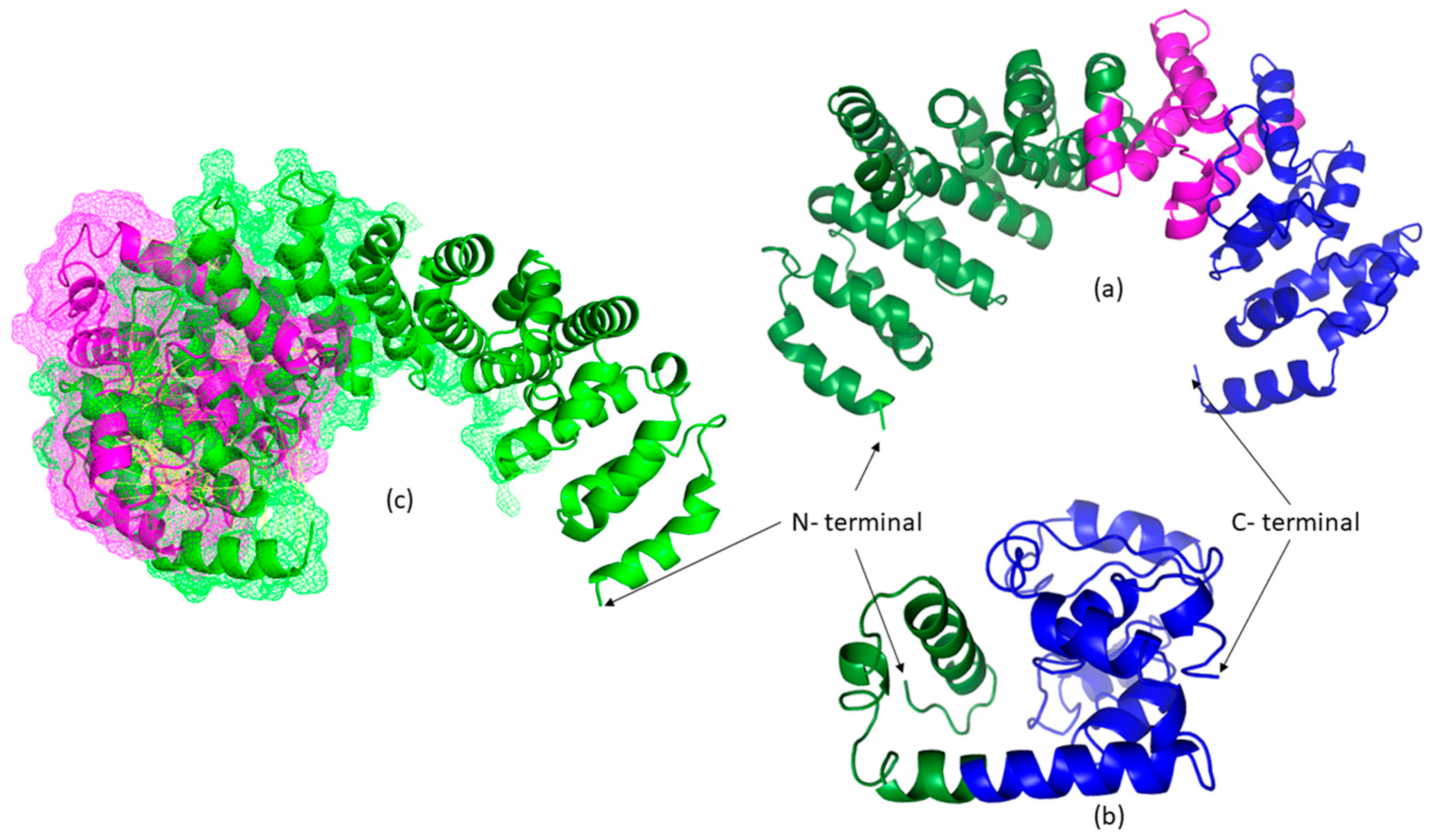 Life 15 01855 g002 Life 15 01855 g002