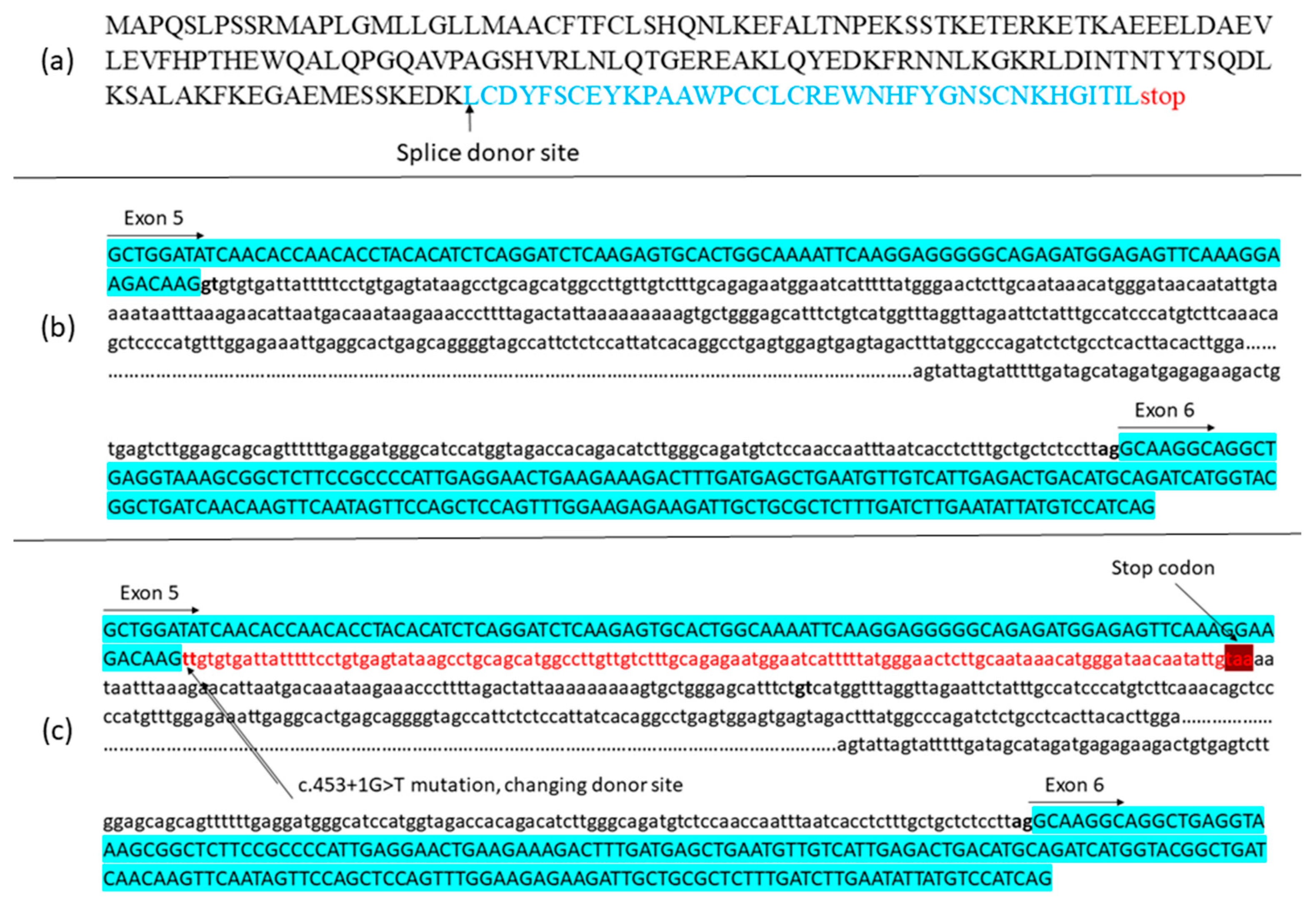 Life 15 01855 g003 Life 15 01855 g003