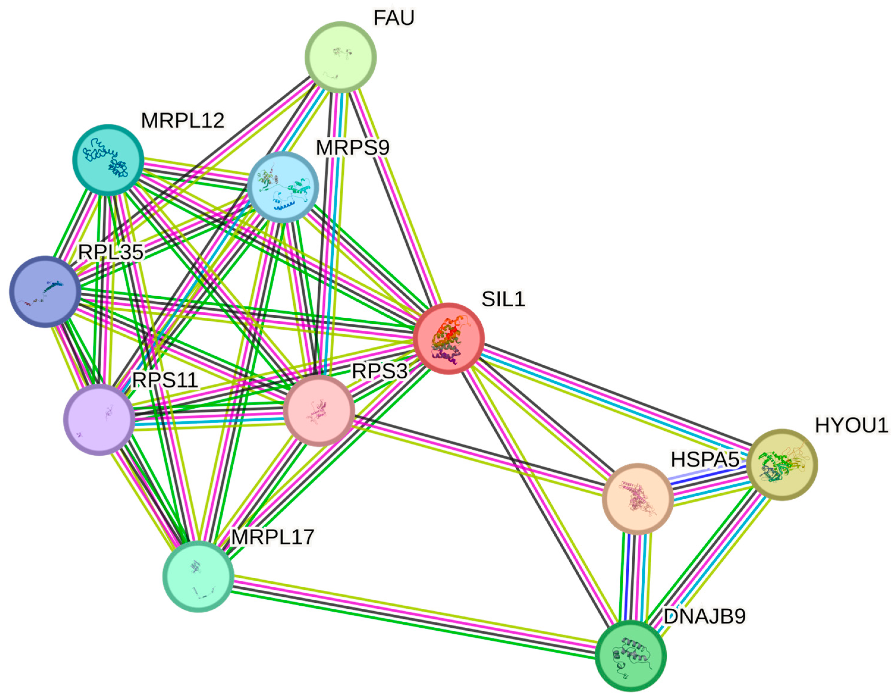 Life 15 01855 g004 Life 15 01855 g004
