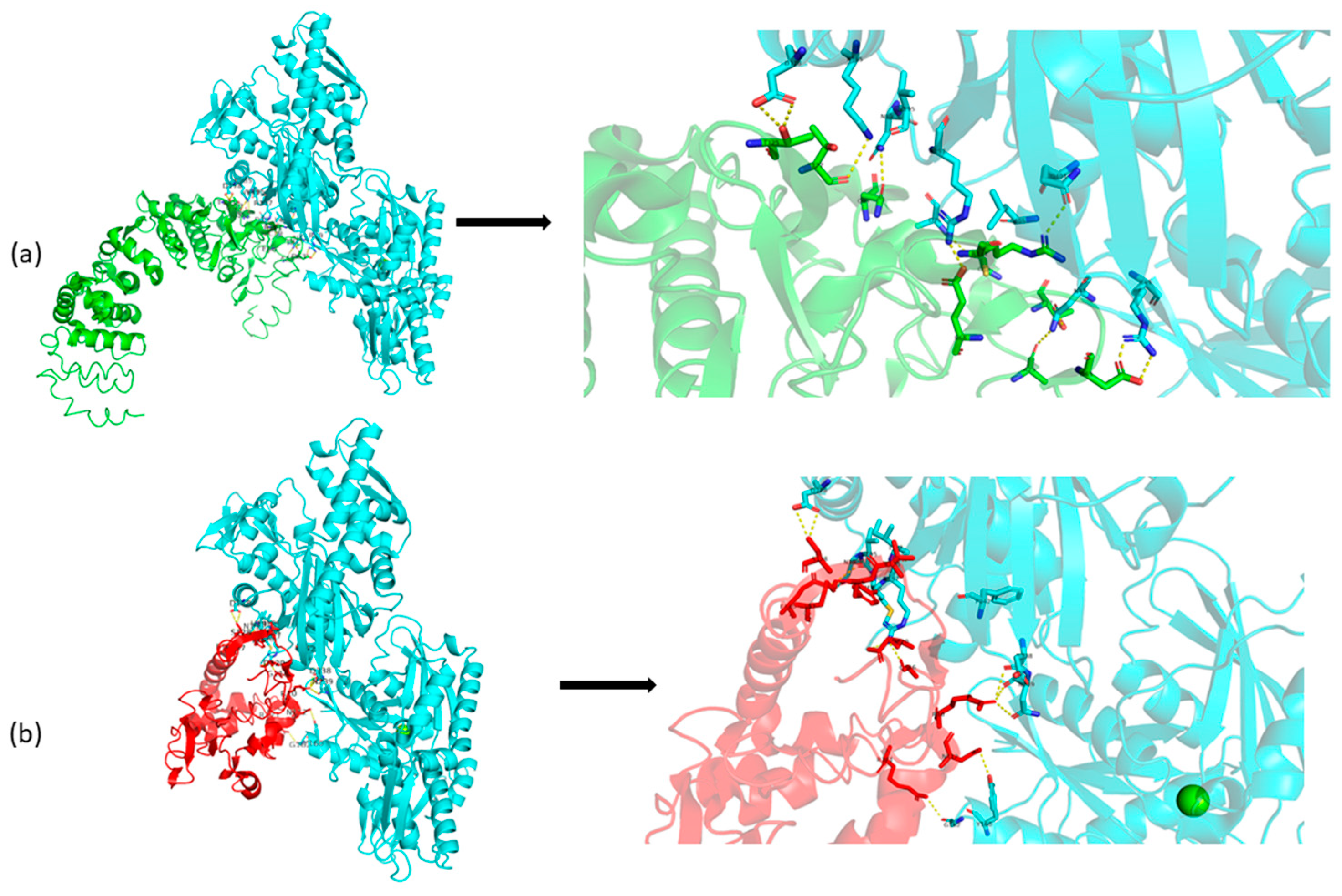 Life 15 01855 g005 Life 15 01855 g005