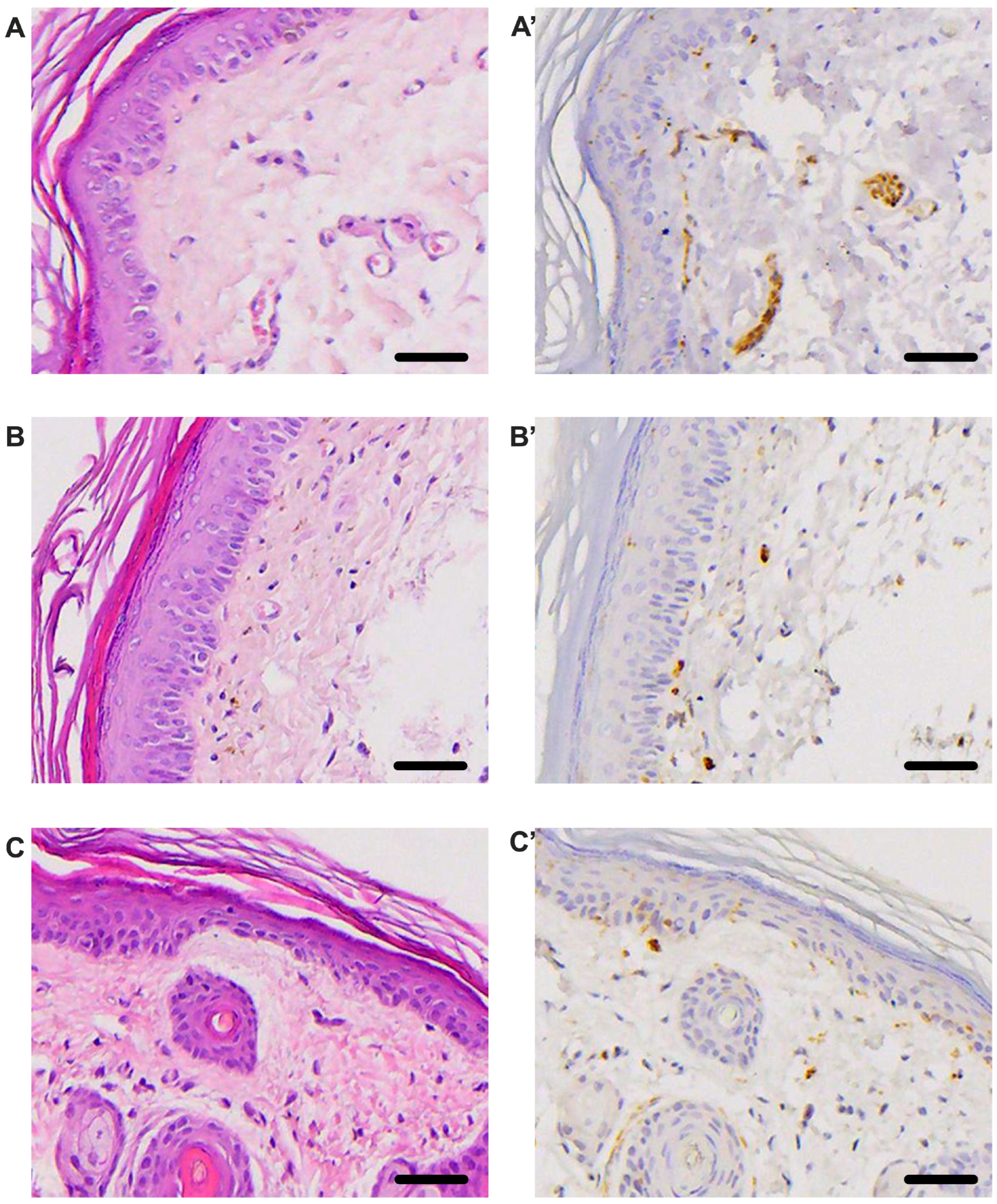 Life 15 01860 g008 Life 15 01860 g008