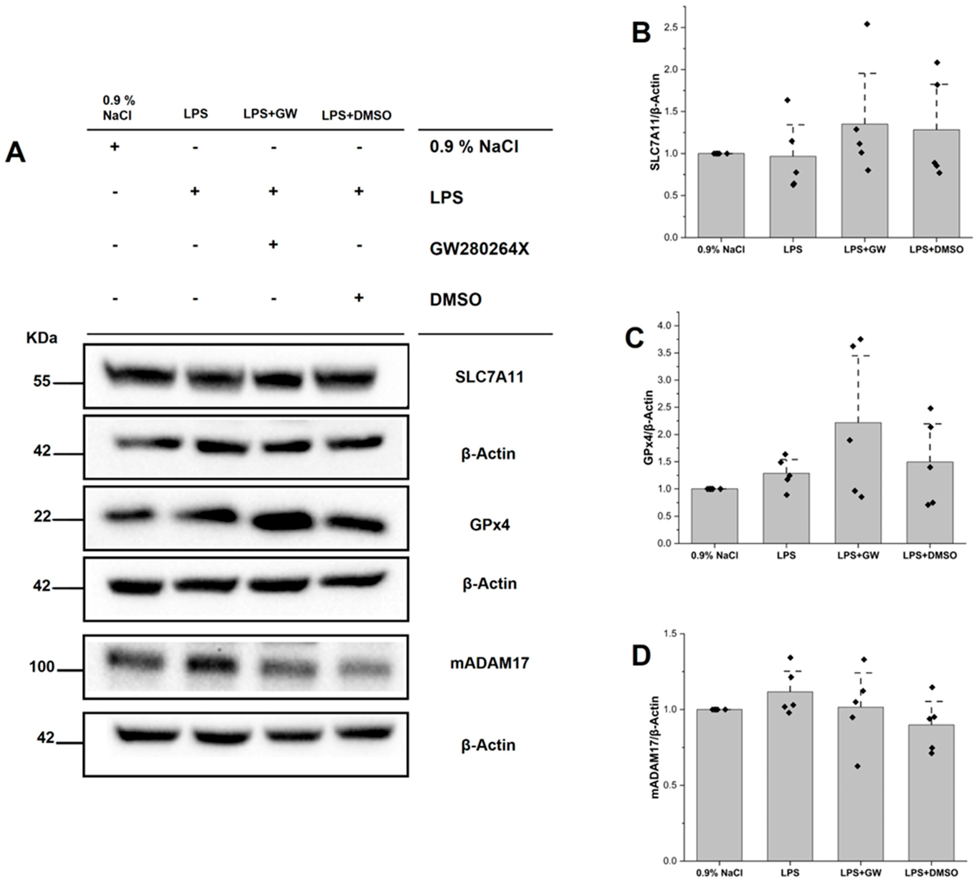 Life 15 01877 g005 Life 15 01877 g005