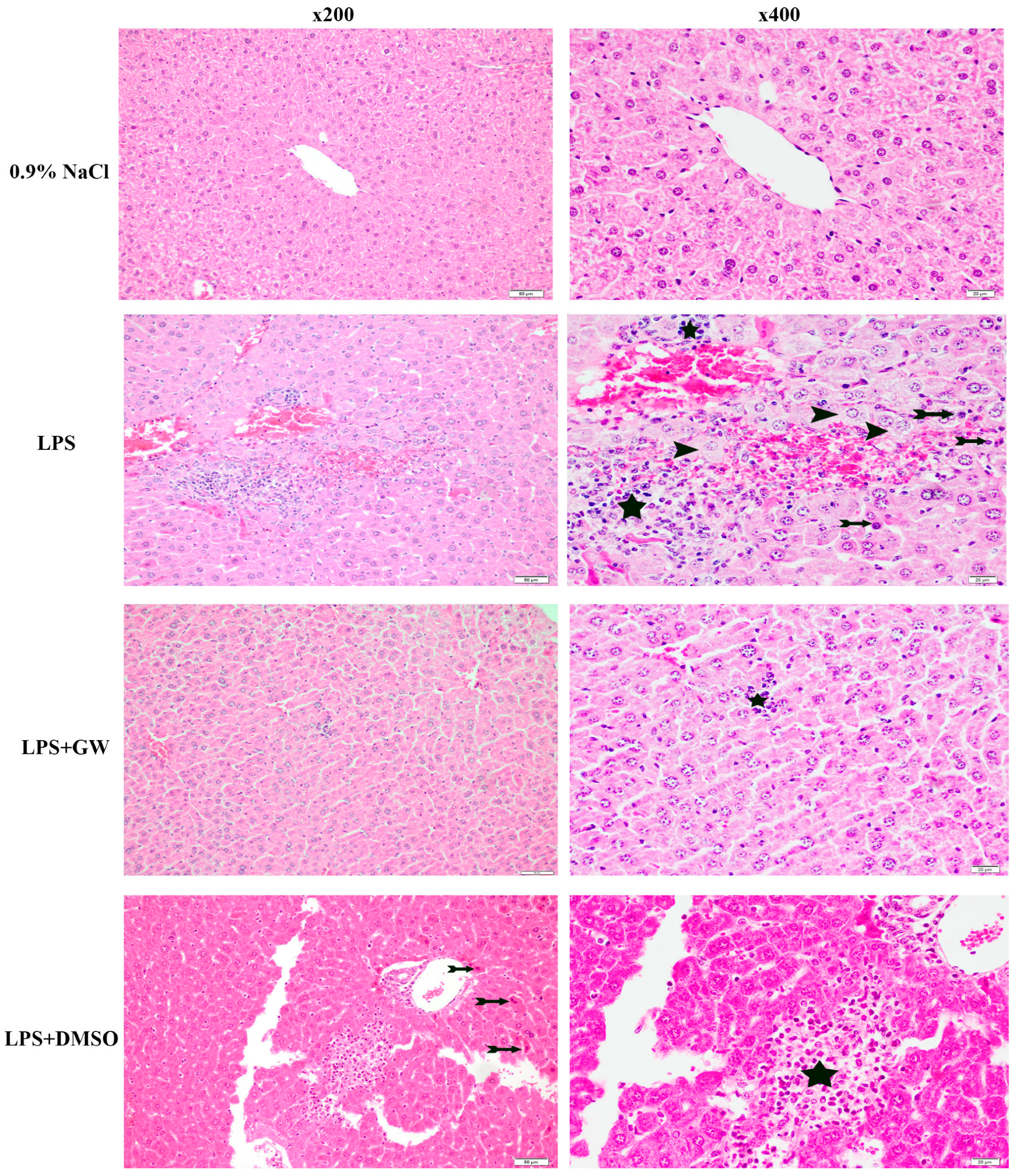 Life 15 01877 g006 Life 15 01877 g006