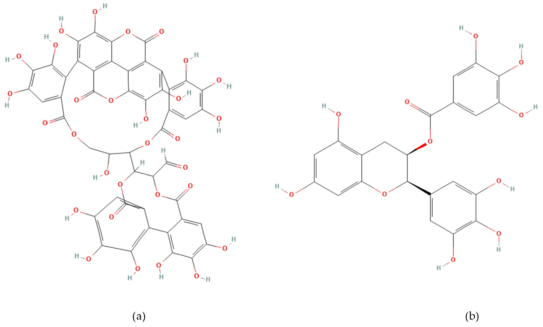 Life 15 01878 g001 Life 15 01878 g001