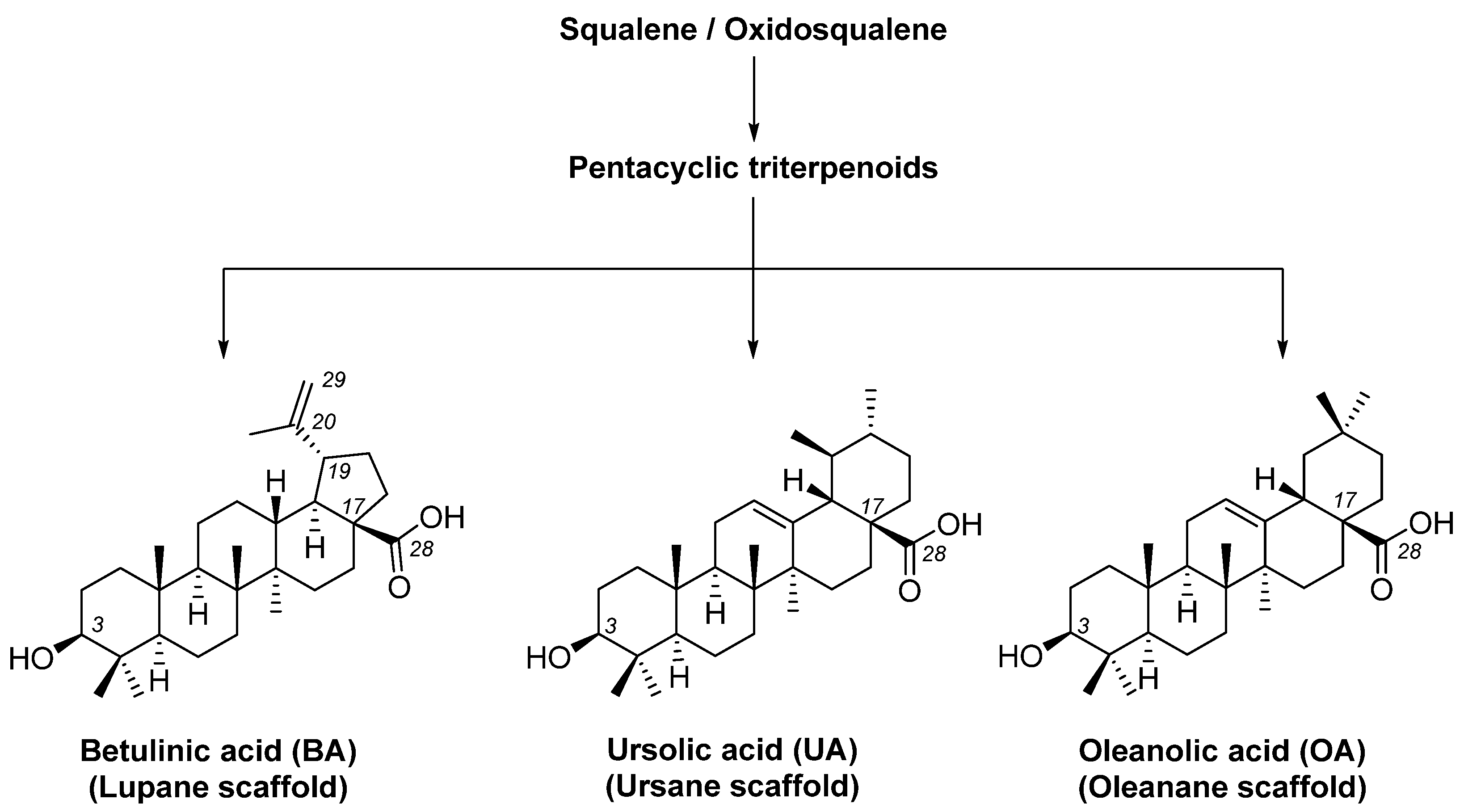 Life 15 01884 g001 Life 15 01884 g001