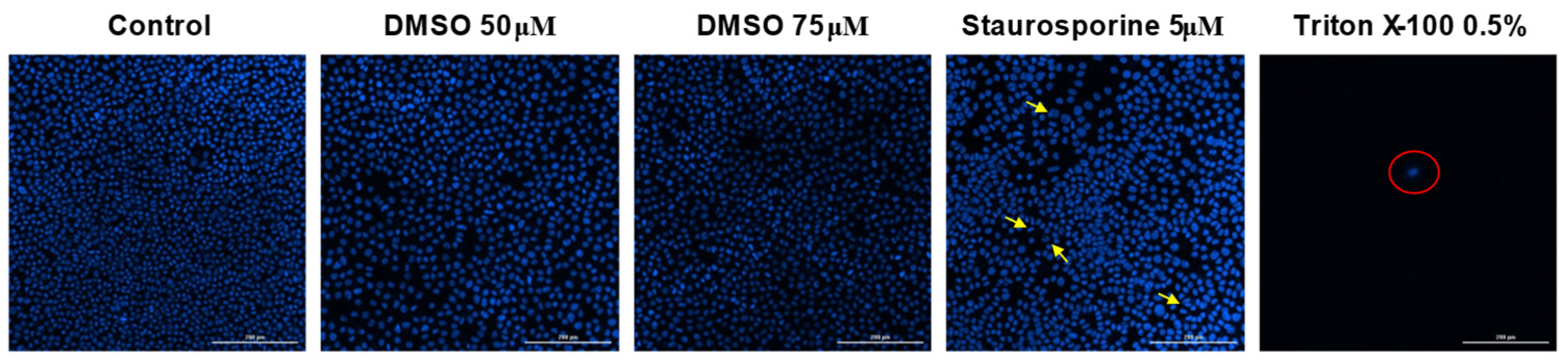 Life 15 01884 g009 Life 15 01884 g009