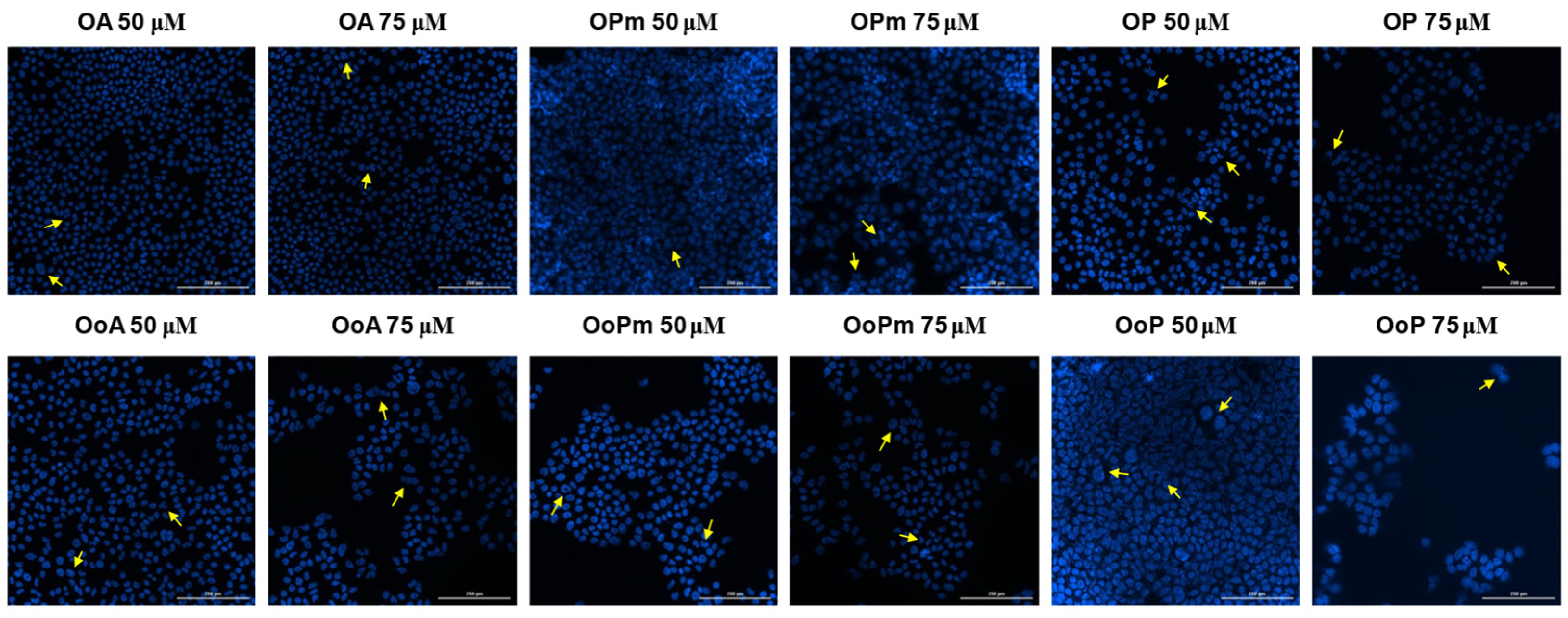 Life 15 01884 g011 Life 15 01884 g011