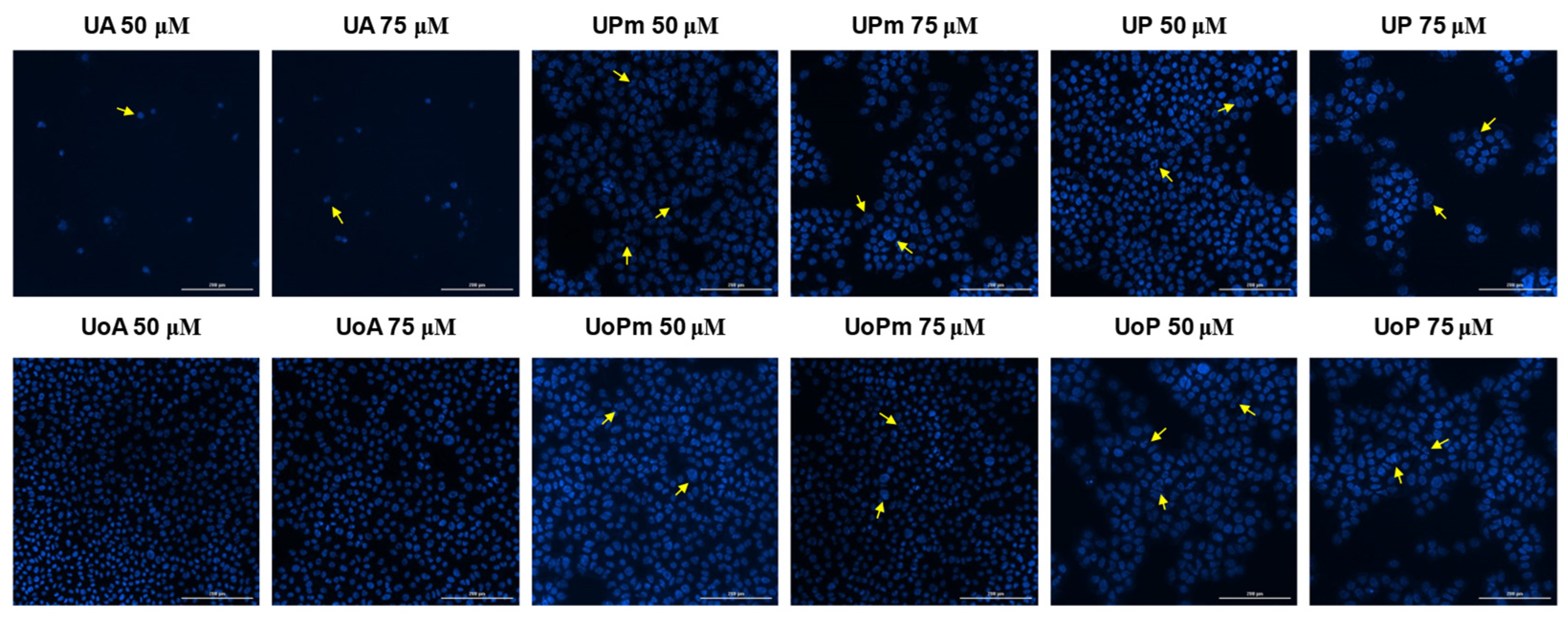 Life 15 01884 g012 Life 15 01884 g012