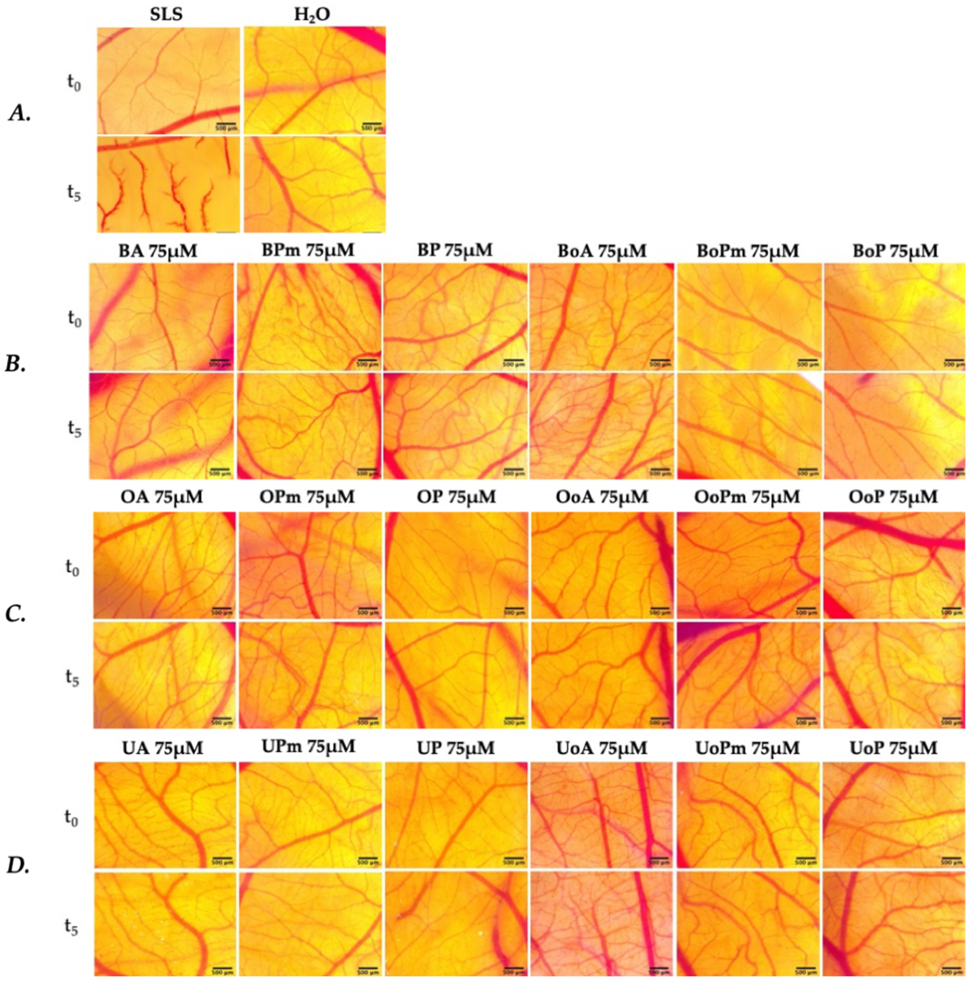 Life 15 01884 g013 Life 15 01884 g013