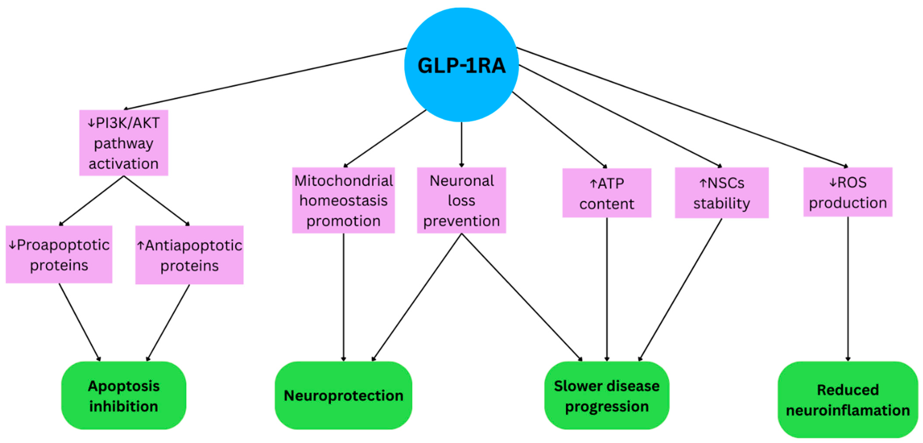 Life 15 01893 g002 Life 15 01893 g002