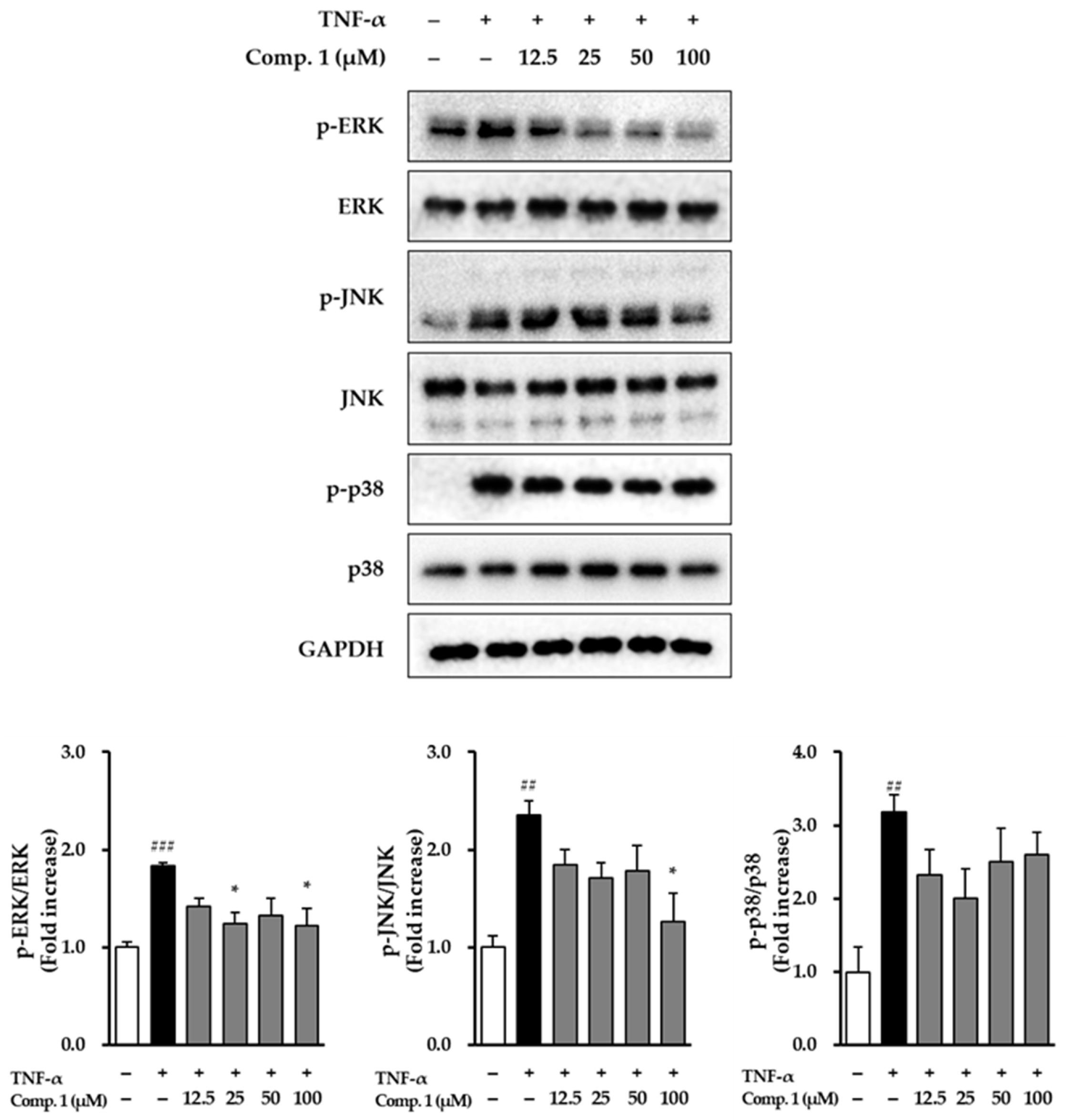 Life 15 01934 g009 Life 15 01934 g009