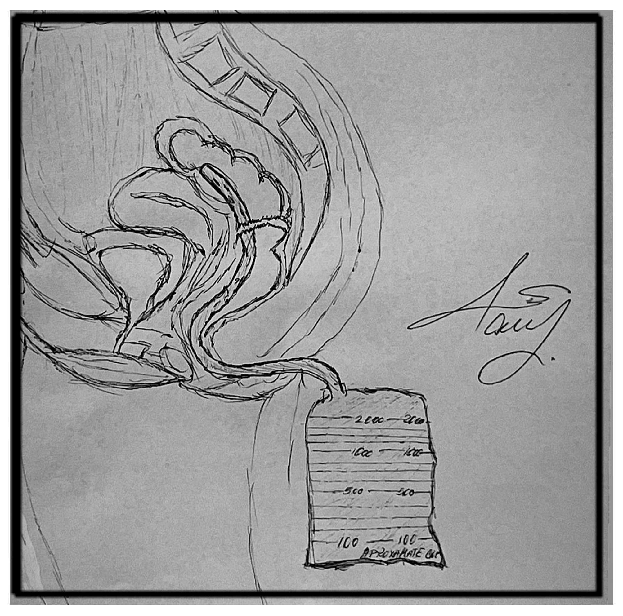 Life 16 00005 g001 Life 16 00005 g001