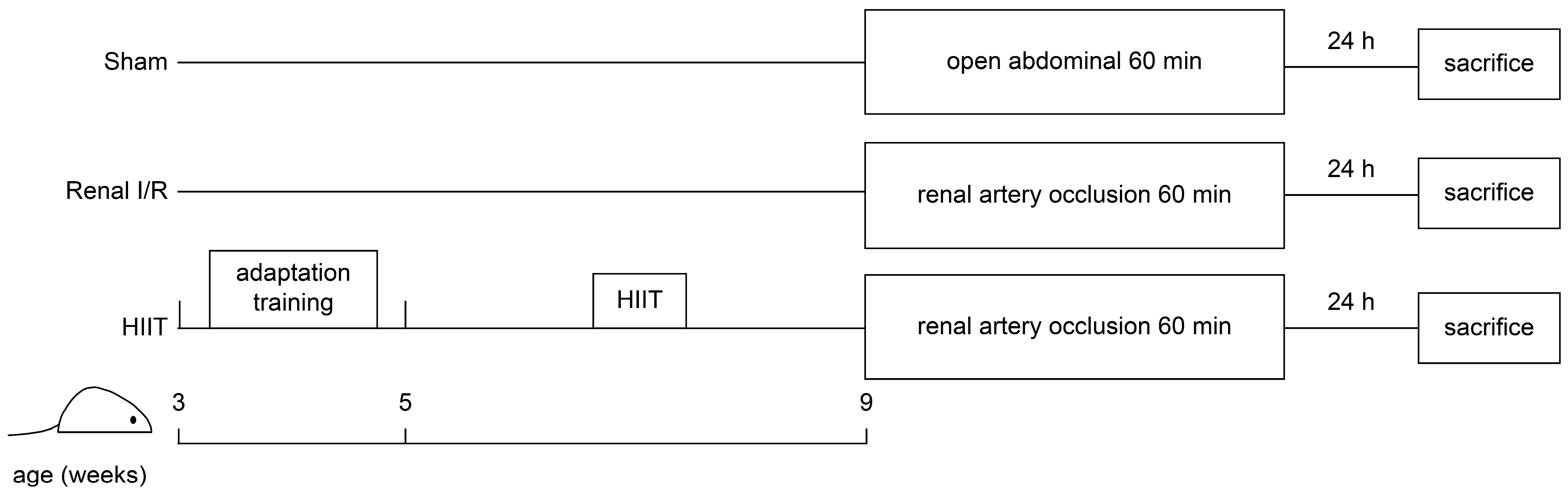 Life 16 00044 g001 Life 16 00044 g001