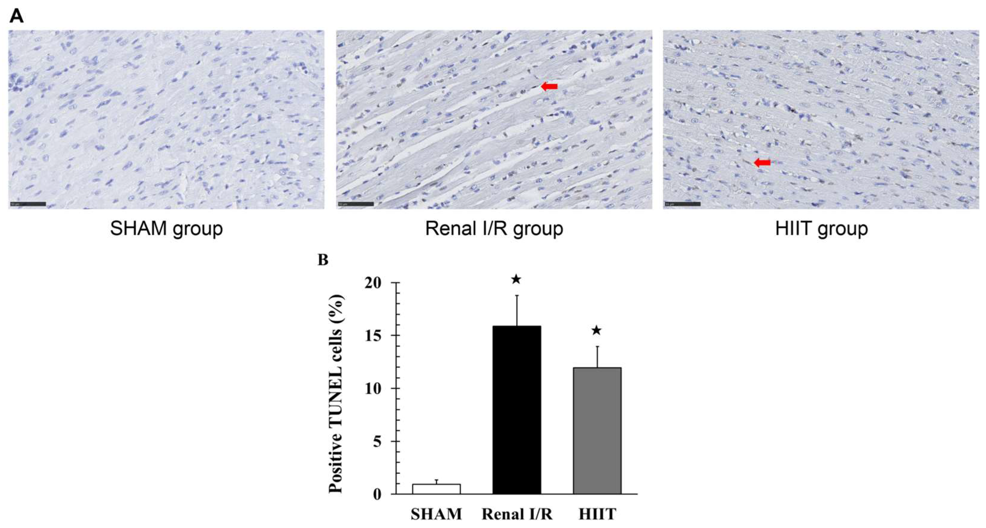Life 16 00044 g006 Life 16 00044 g006