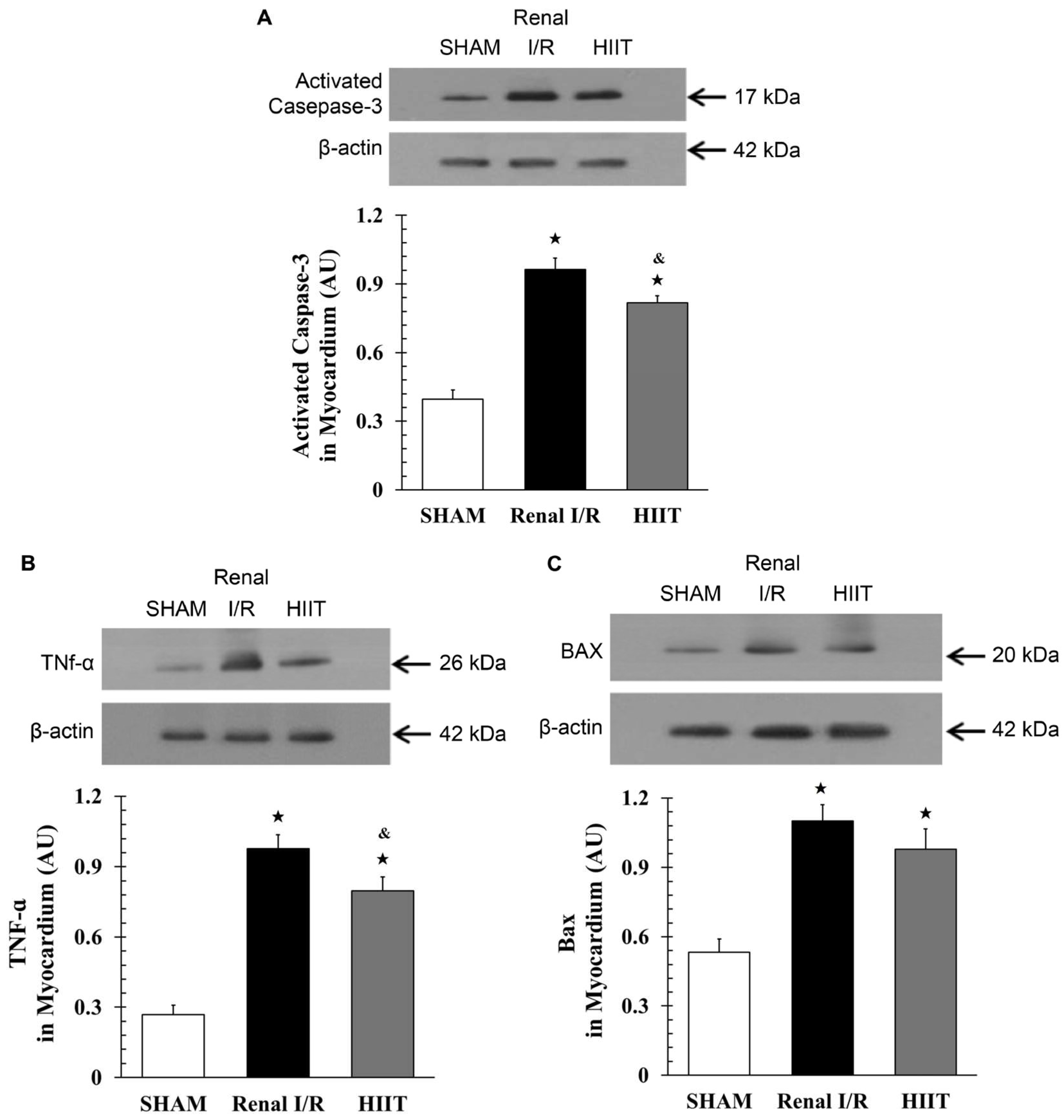 Life 16 00044 g008 Life 16 00044 g008