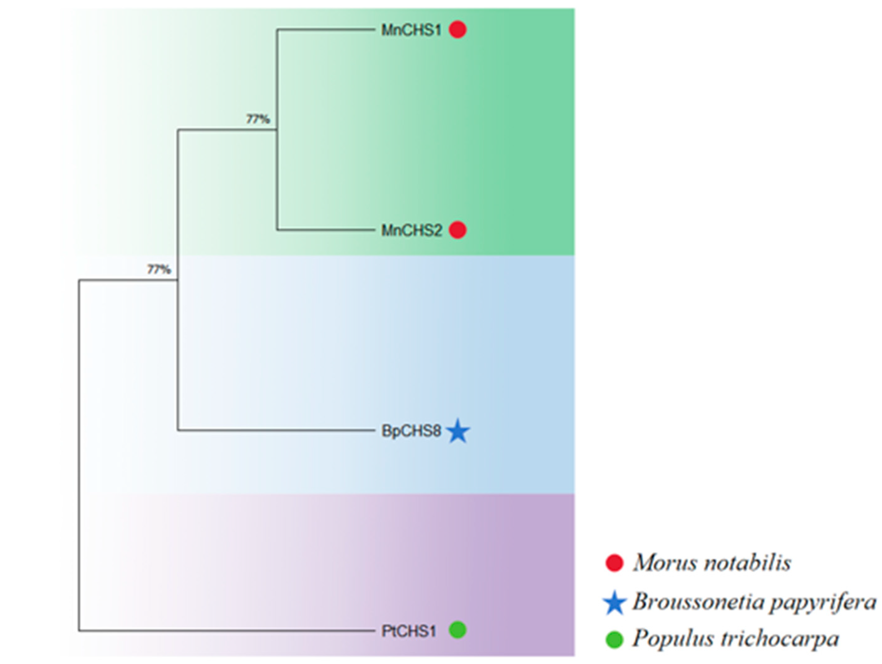 Life 16 00078 g004 Life 16 00078 g004