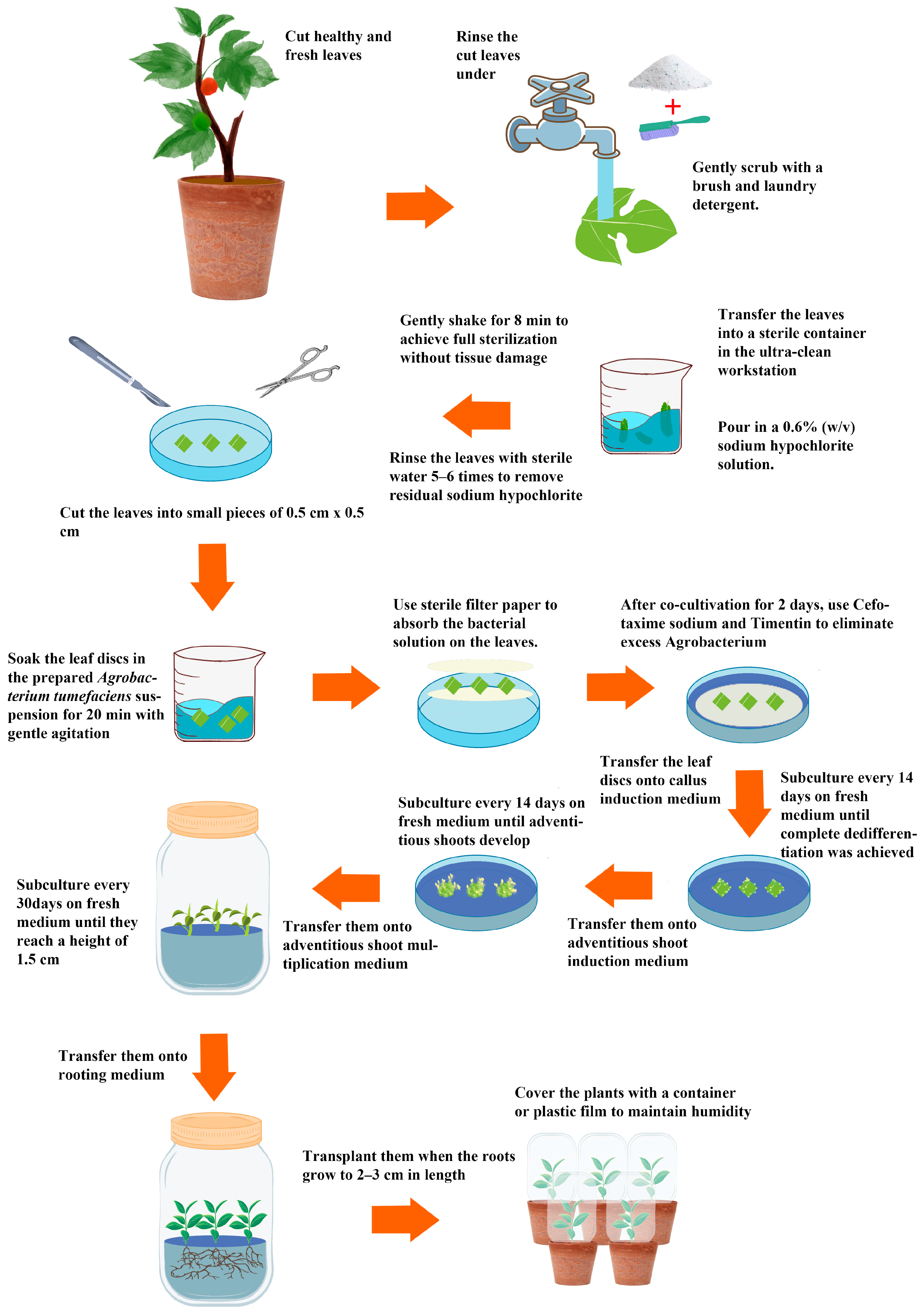 Life 16 00078 g005 Life 16 00078 g005