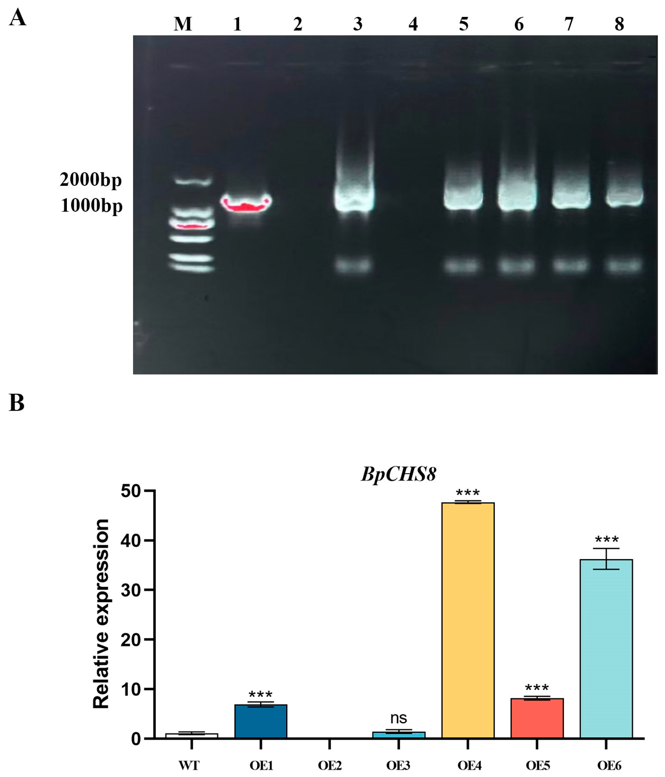 Life 16 00078 g008 Life 16 00078 g008