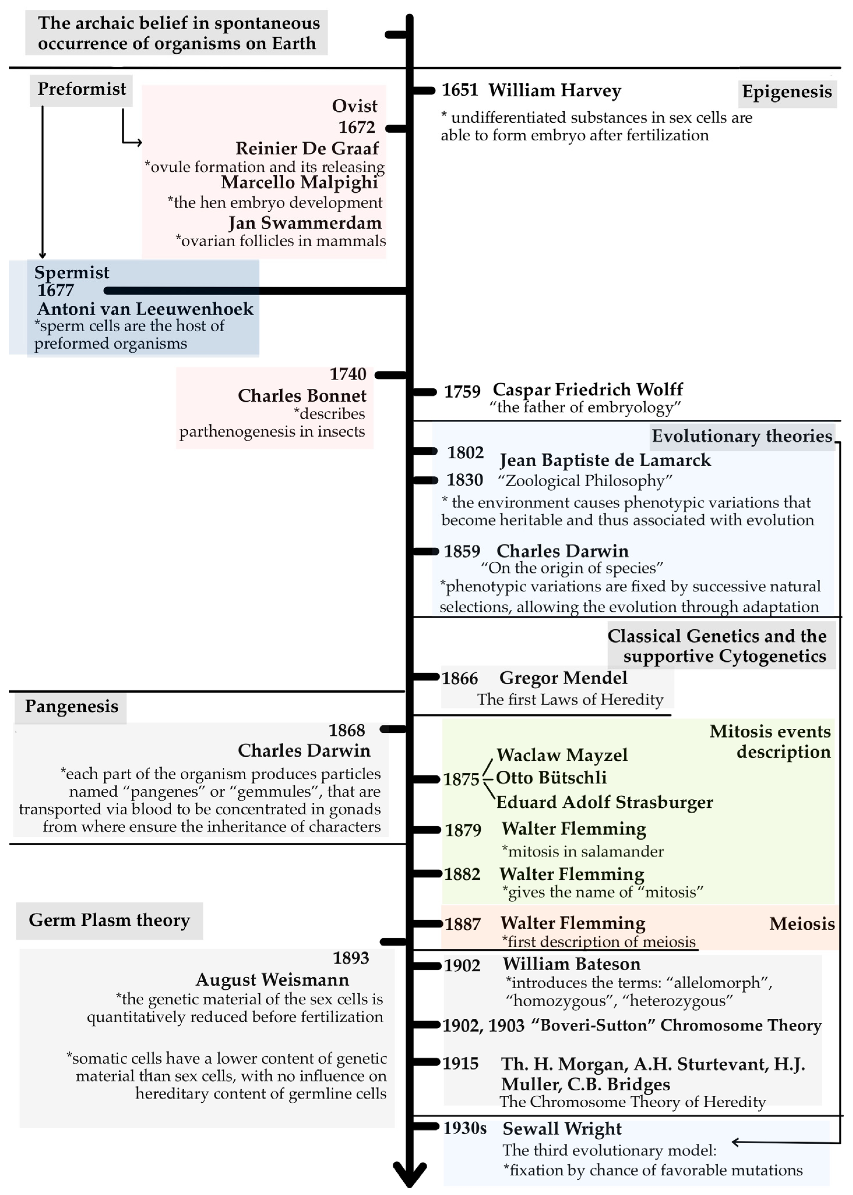 Life 16 00079 g001 Life 16 00079 g001