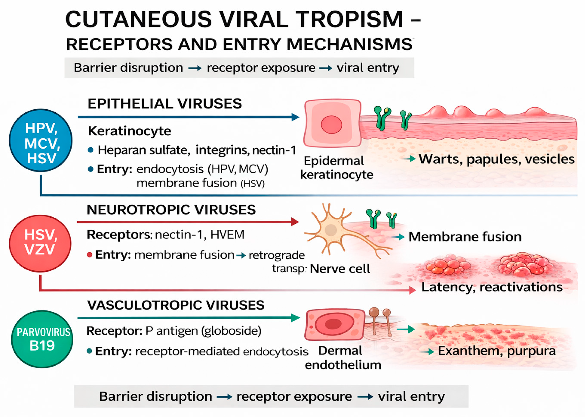 Life 16 00174 g003 Life 16 00174 g003