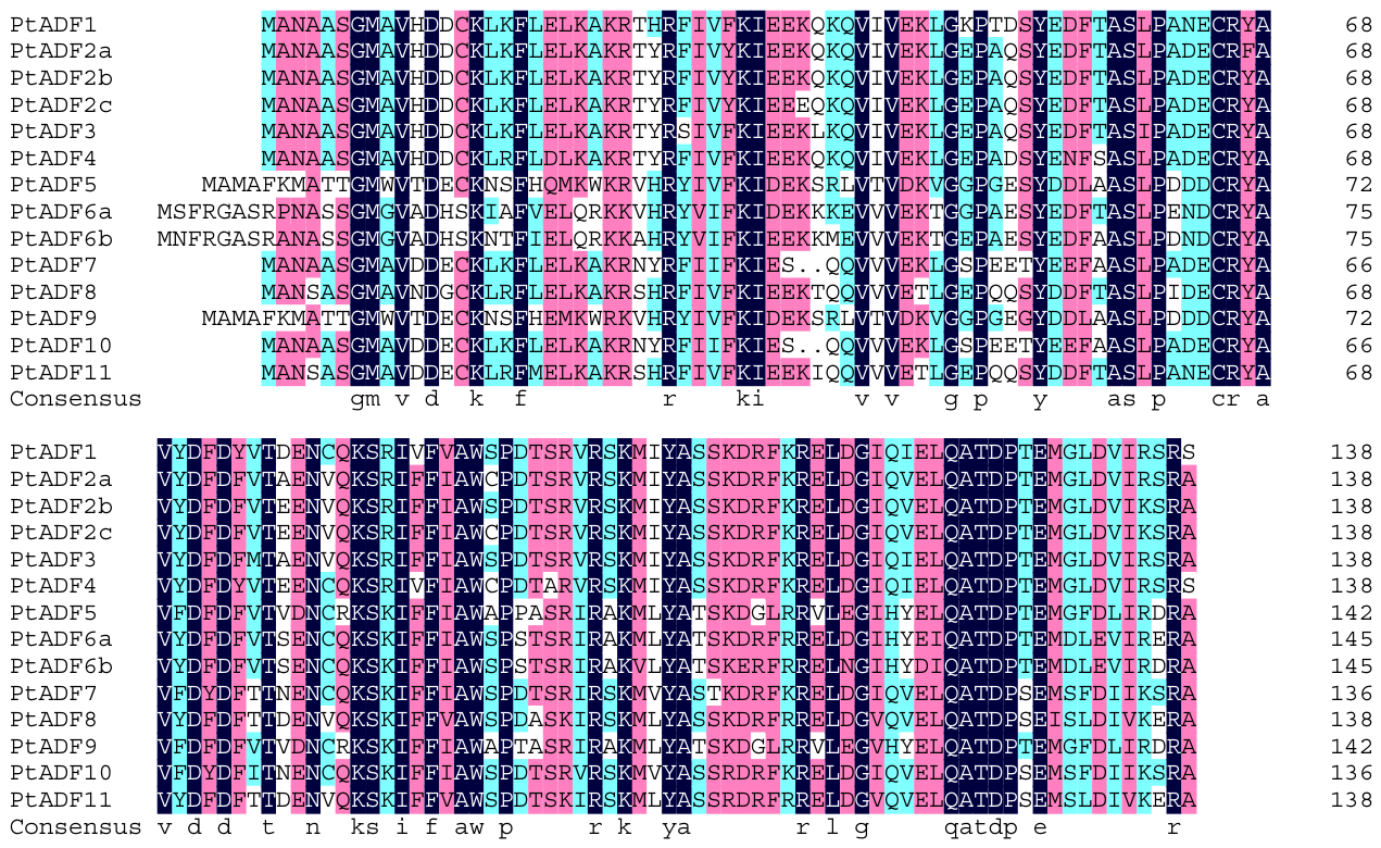 Systematic Analysis of the Populus ADF Gene Family and the