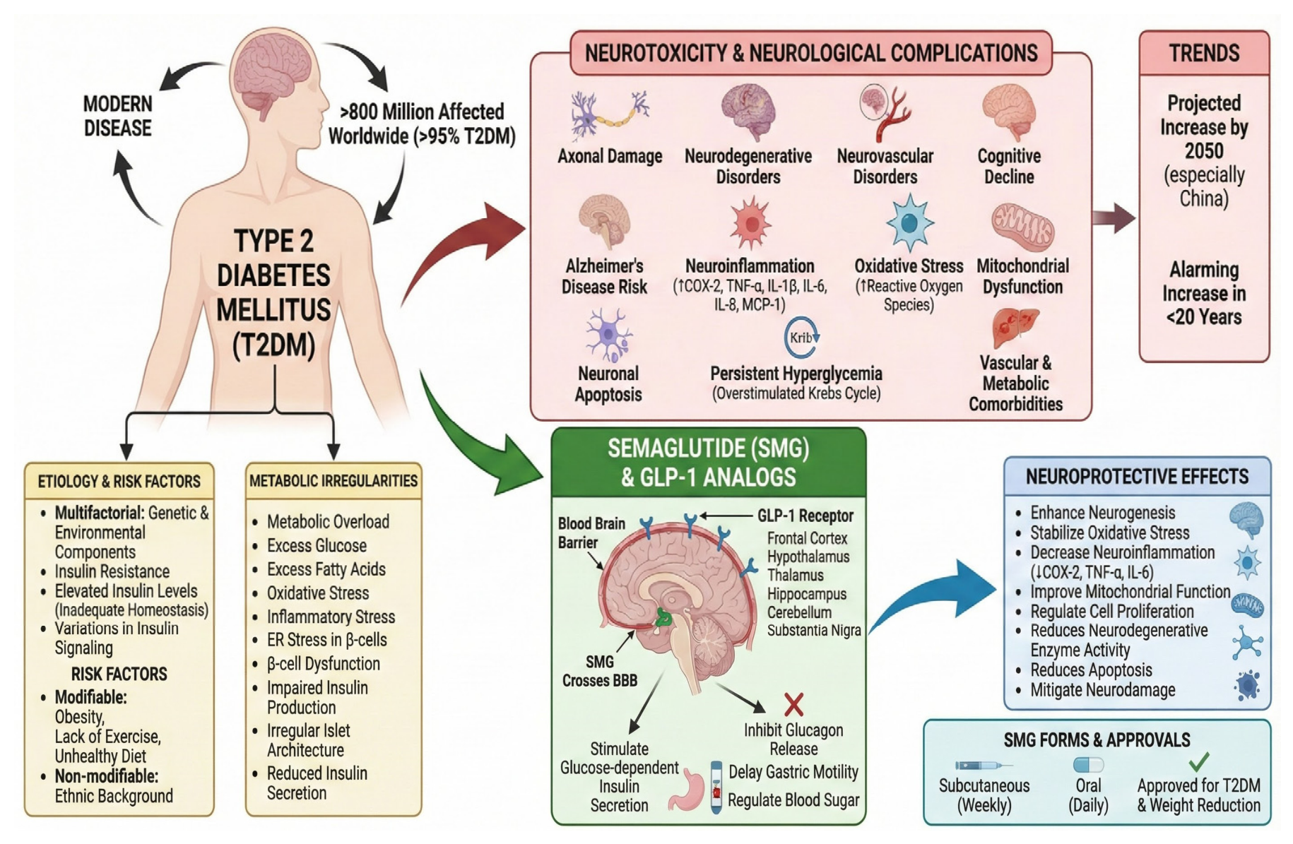 Semaglutide Attenuates Type 2 Diabetes-Induced Neurotoxicity by Modulating Neuroinflammation, Oxidative Stress, and Neuroapoptosis