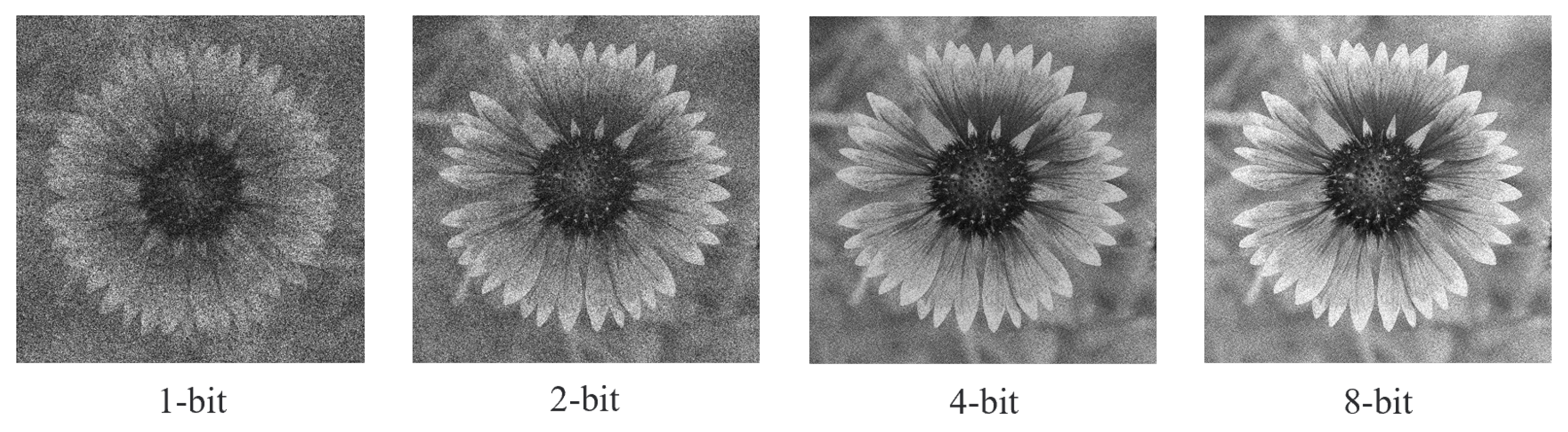 Lights 01 00002 g011 Lights 01 00002 g011