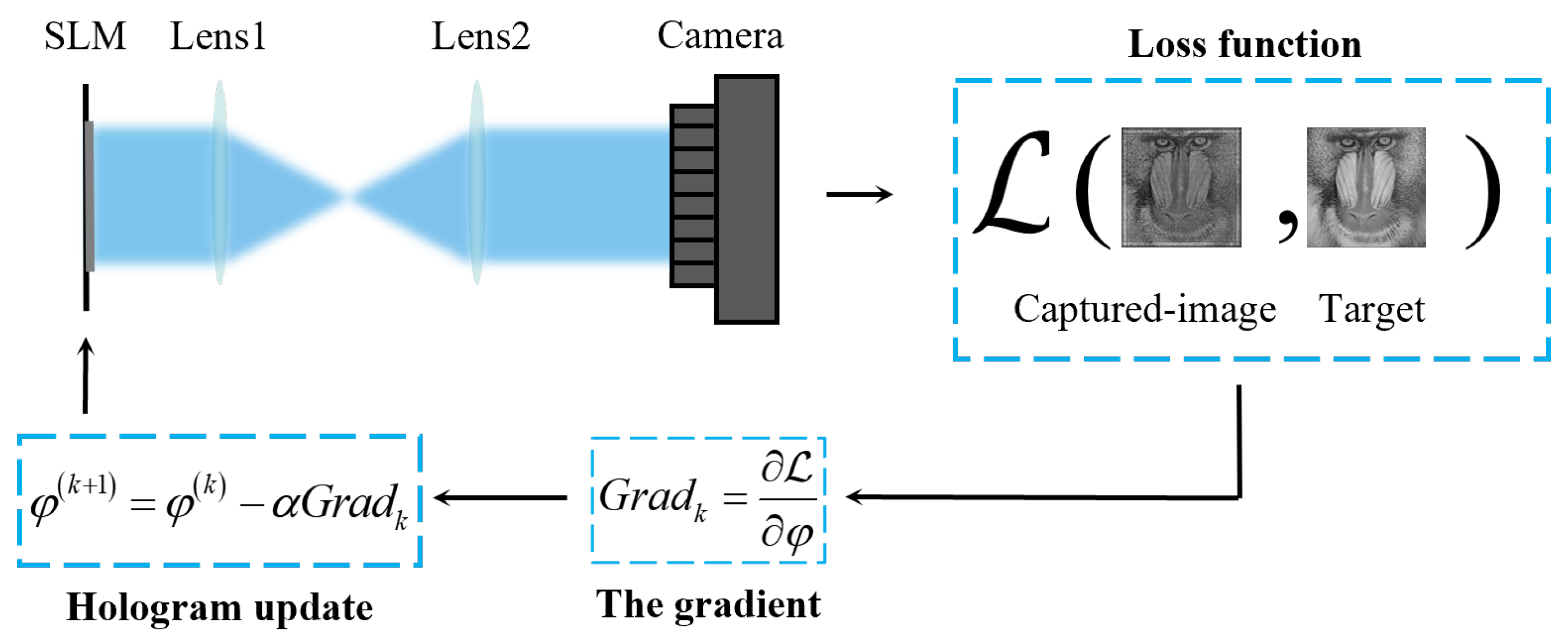 Lights 01 00002 g018 Lights 01 00002 g018