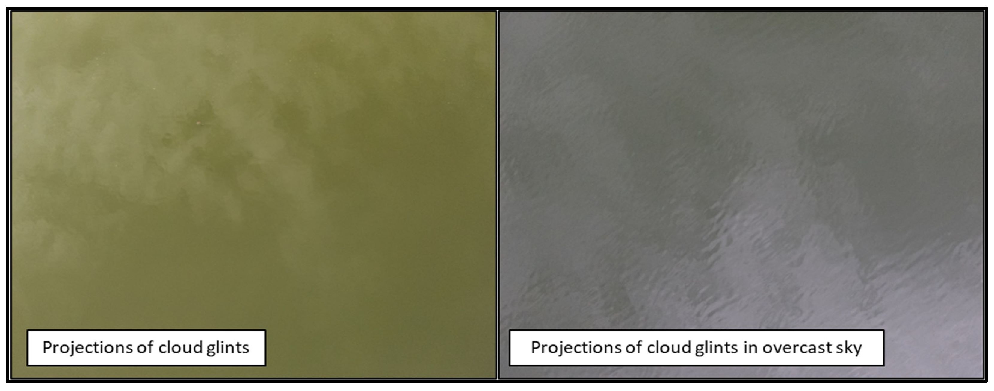 Limnolrev 24 00027 g011