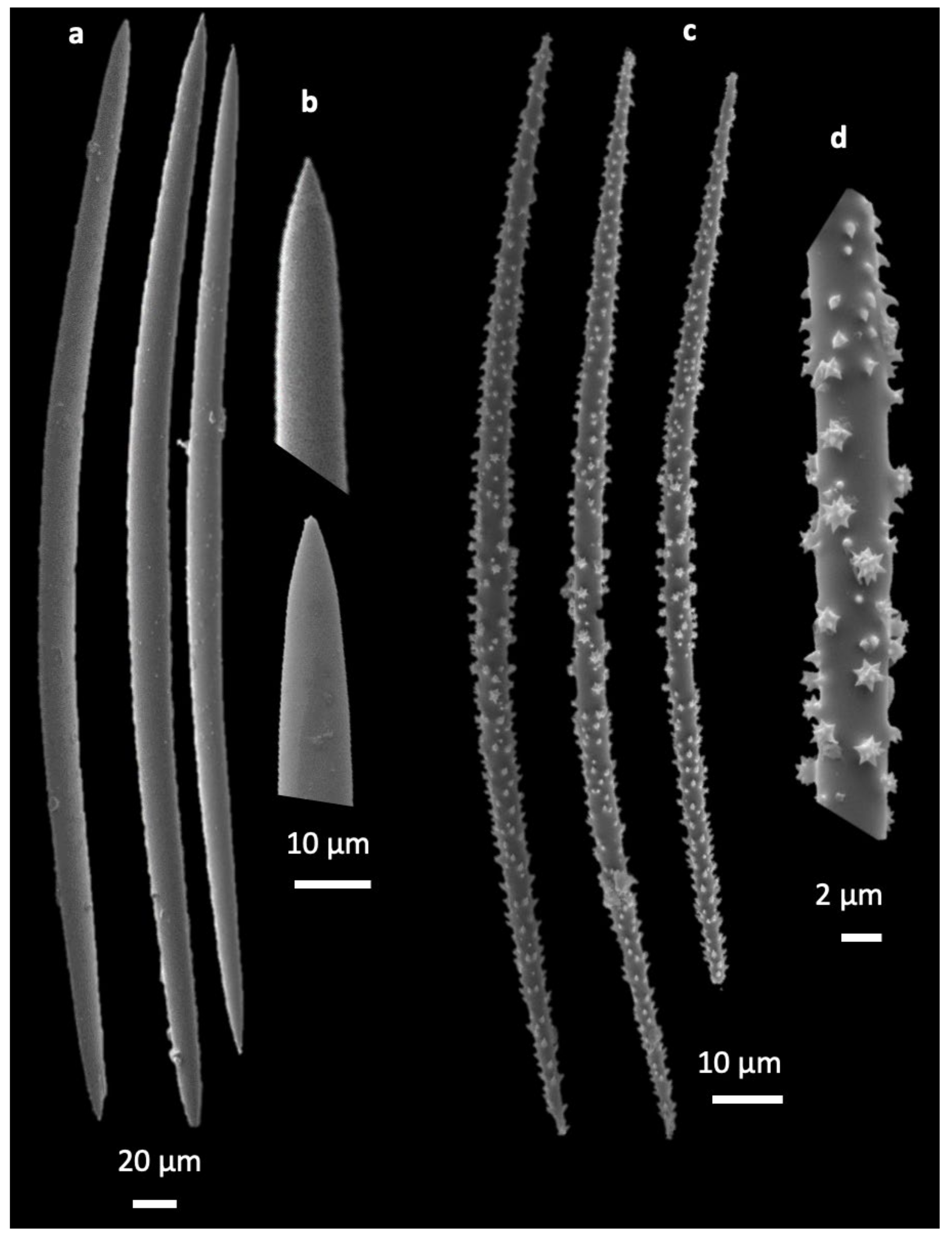 Limnolrev 24 00034 g002