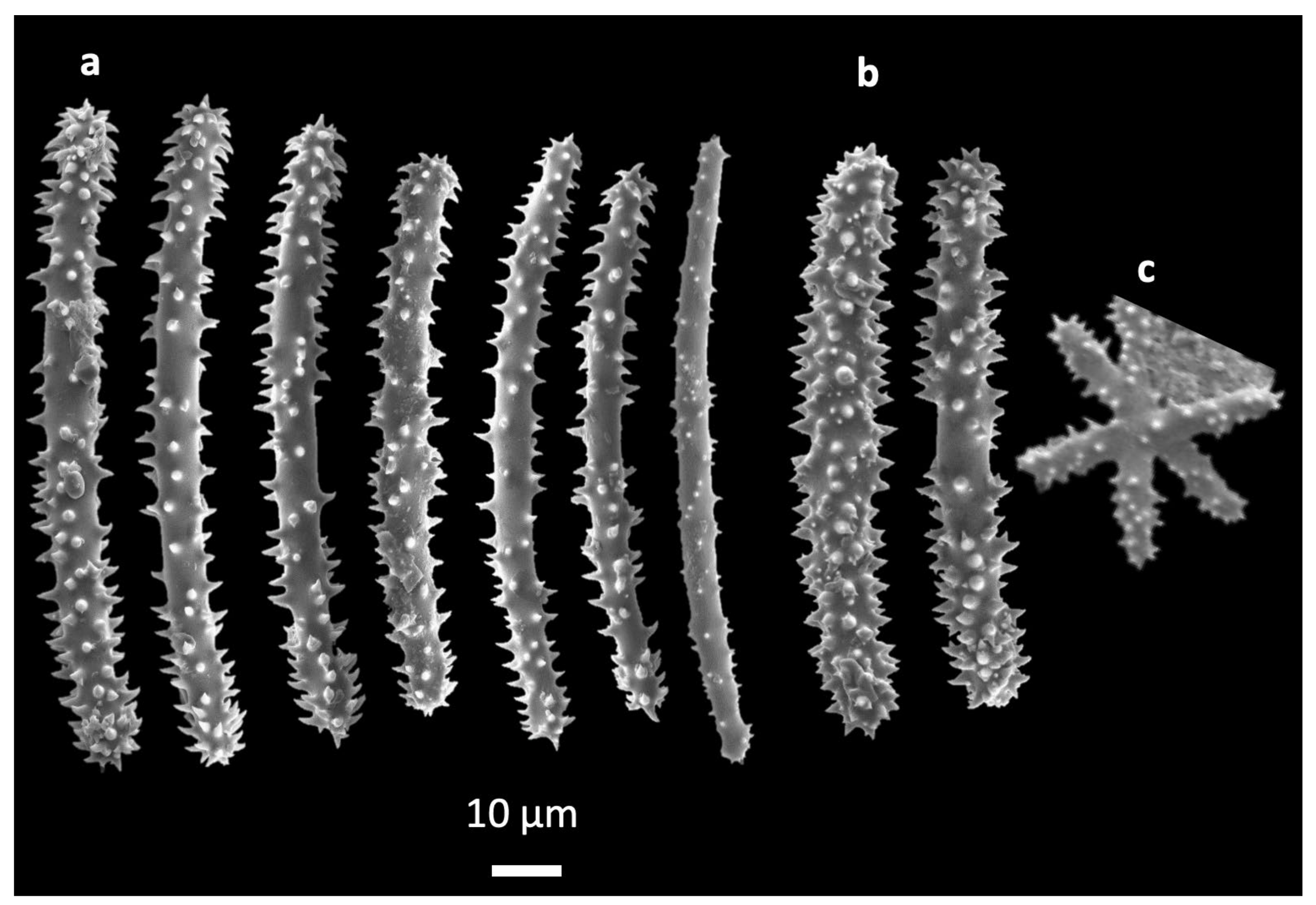 Limnolrev 24 00034 g003