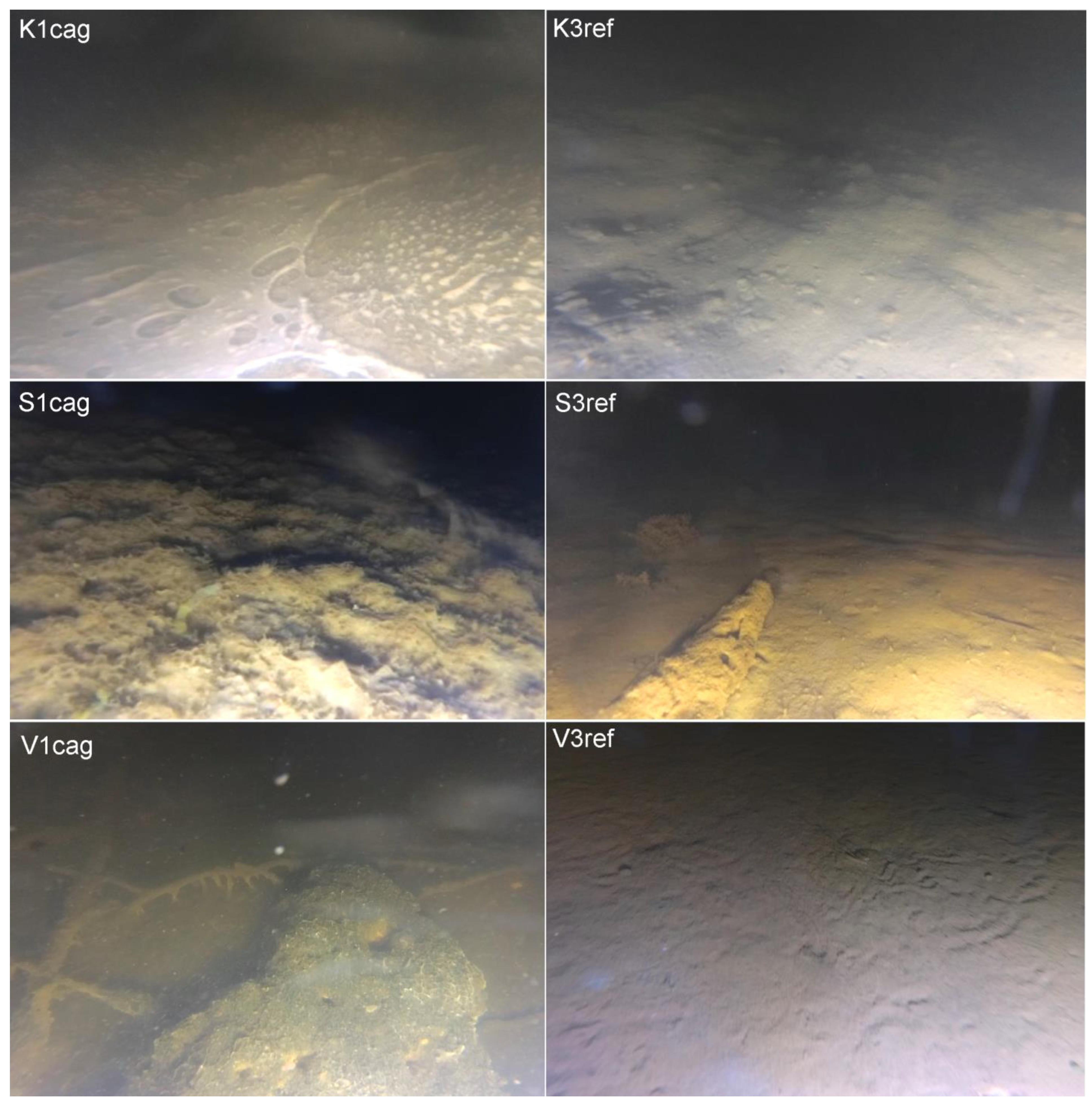 Limnolrev 24 00035 g002