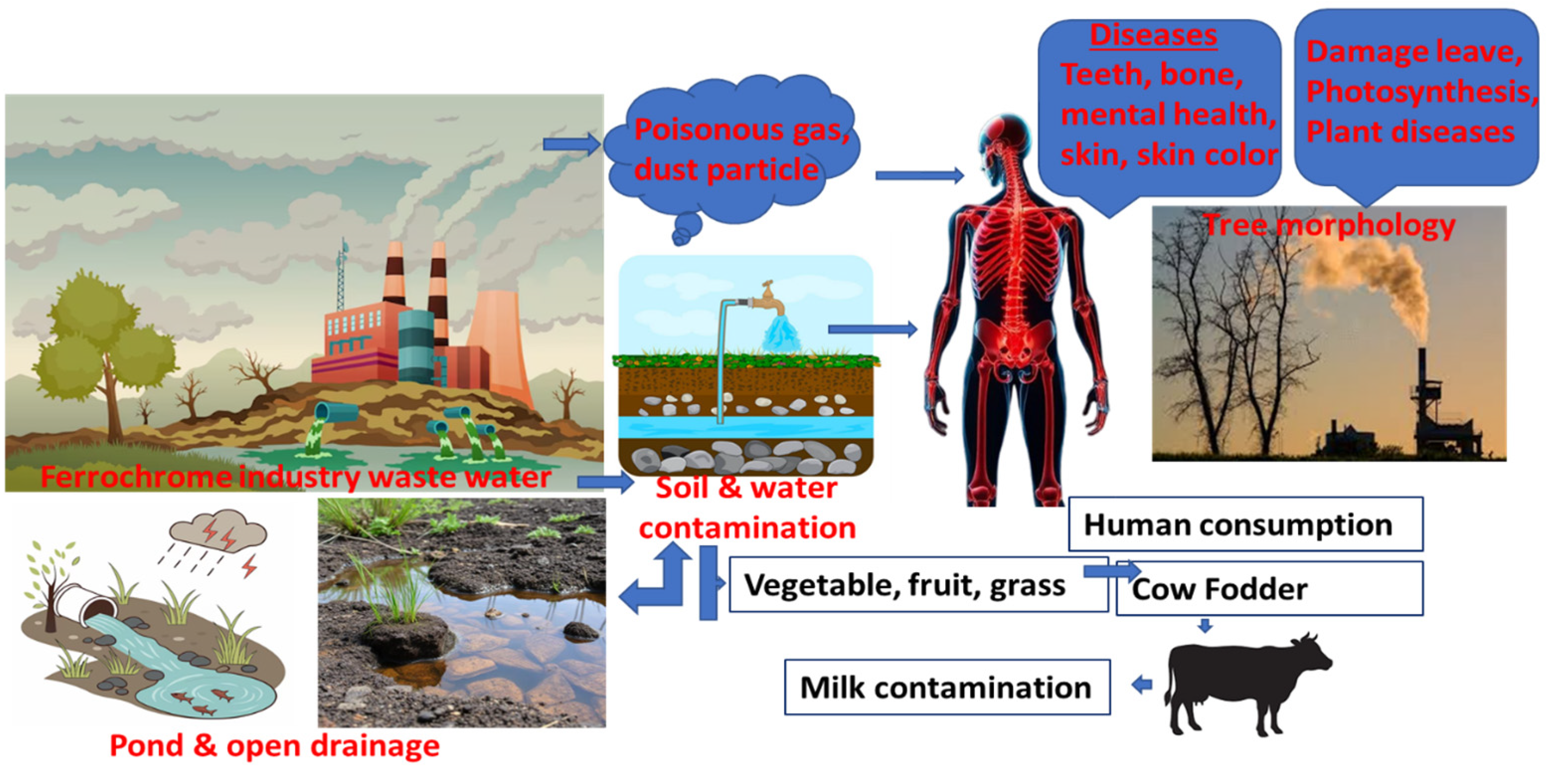 Limnolrev 25 00023 g001