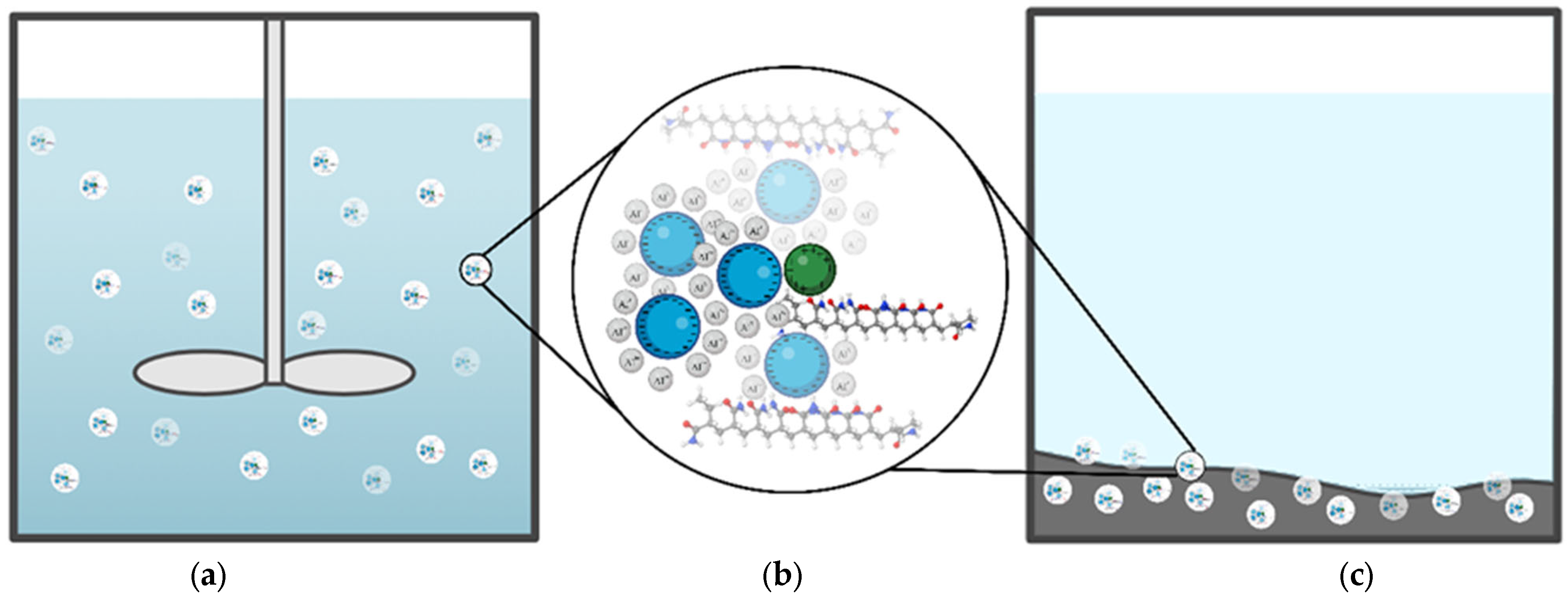 Limnolrev 25 00042 g003