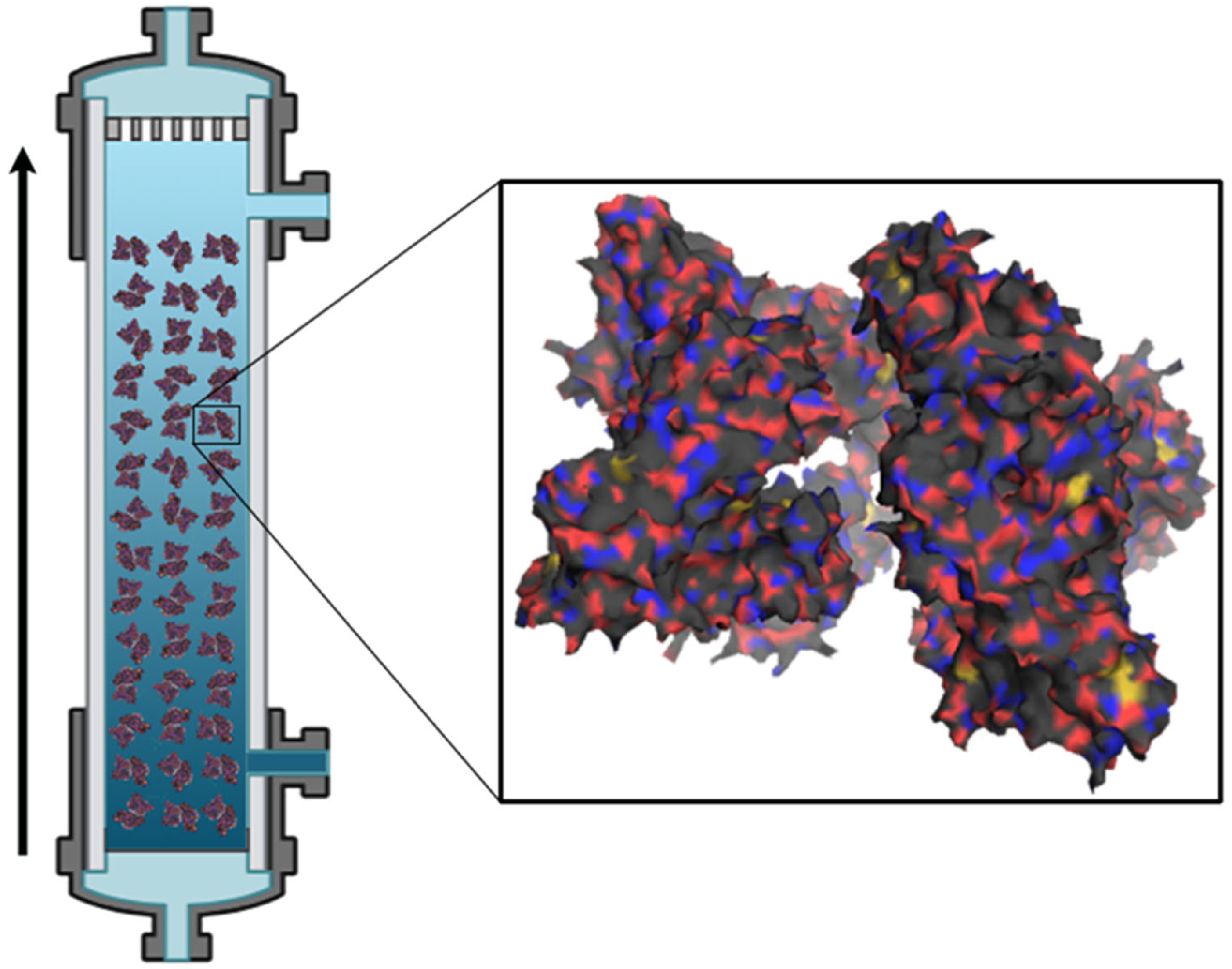 Limnolrev 25 00042 g004
