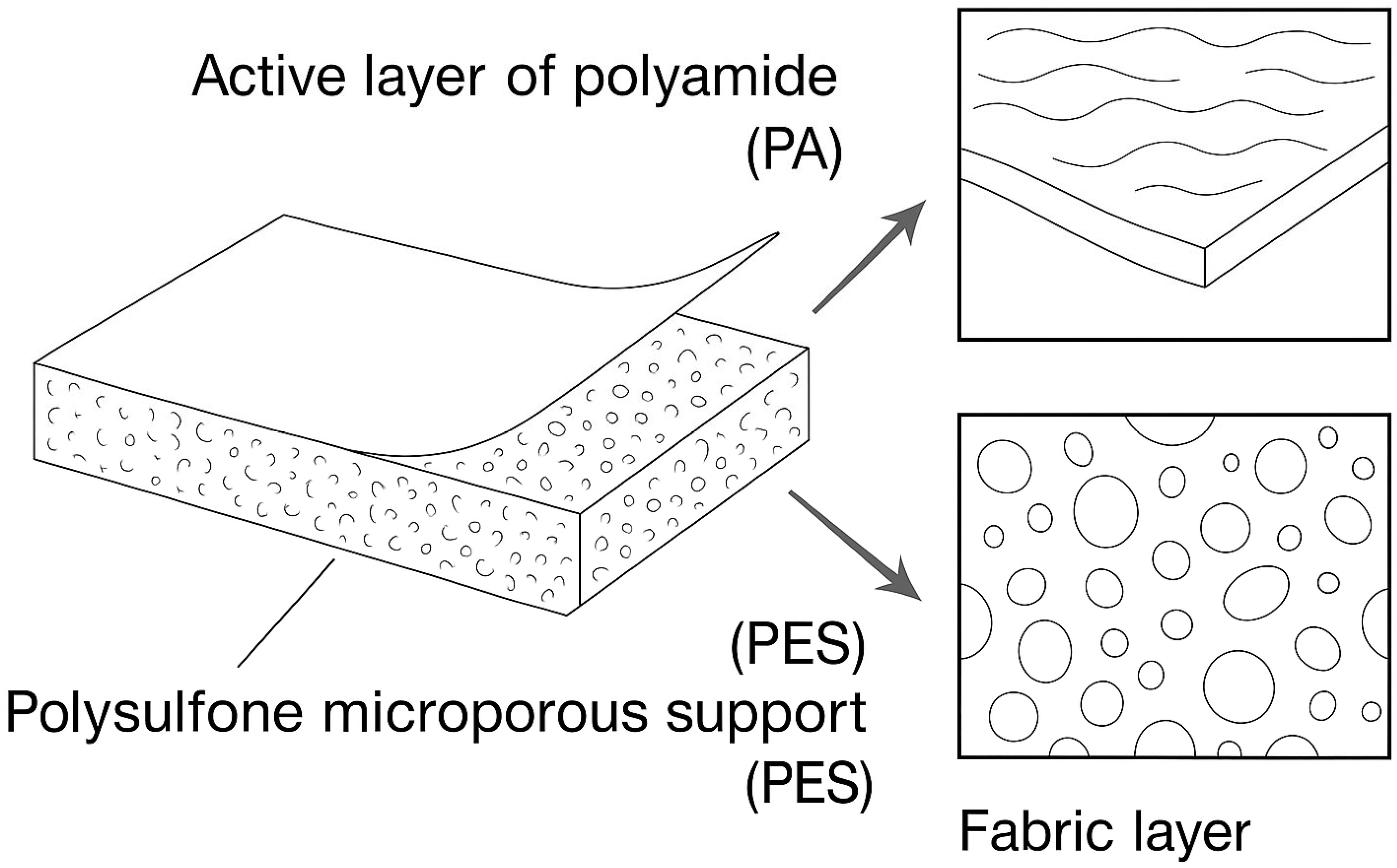 Limnolrev 25 00042 g005